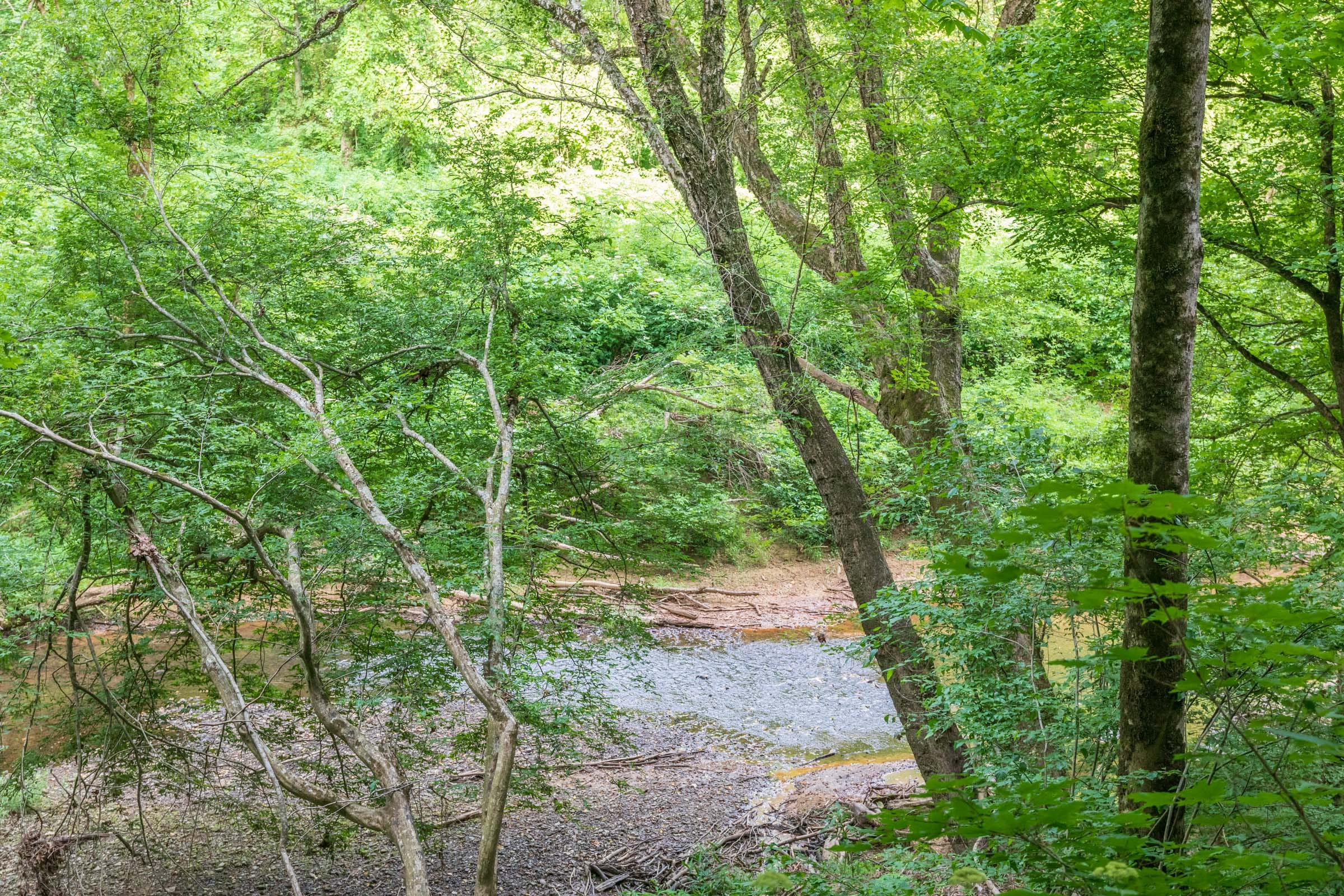 River’s Edge Tract 5 photo 4