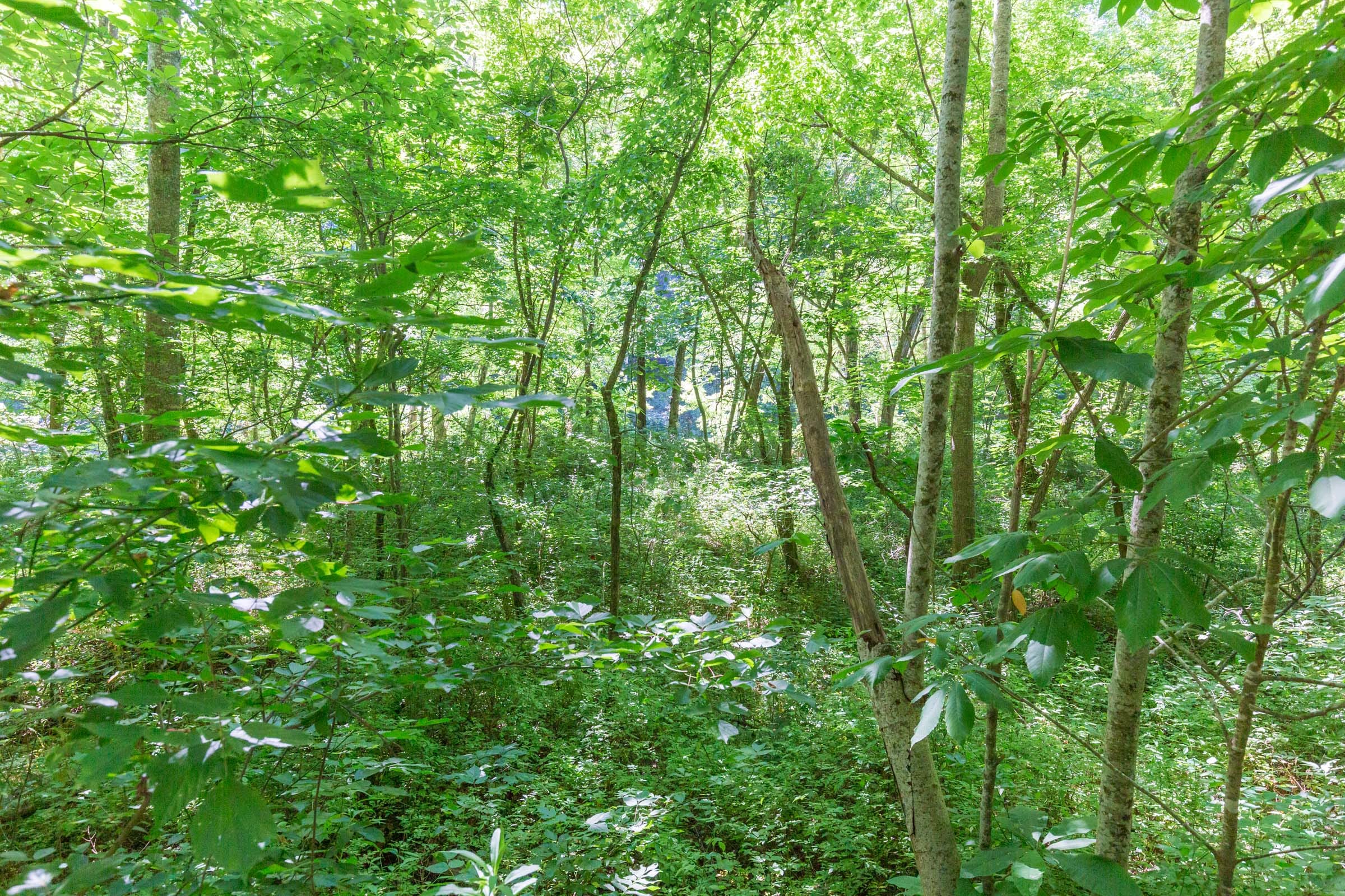 River’s Edge Tract 5 photo 16