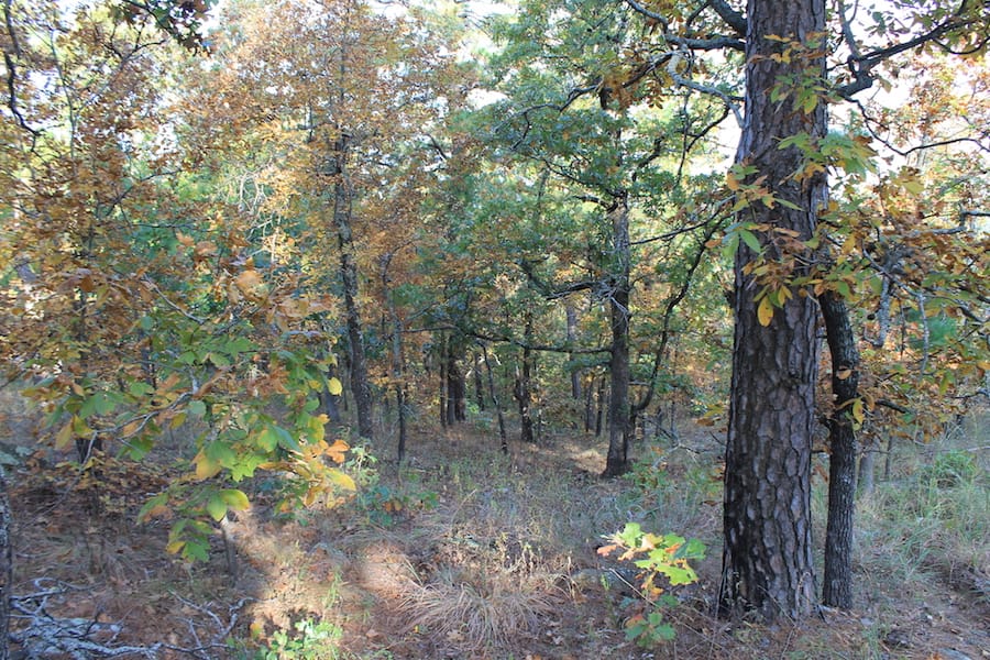 Indian Ridge – Phase III Tract 90 photo 4
