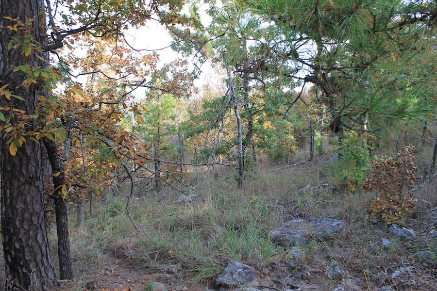 Indian Ridge – Phase III Tract 90 photo 5