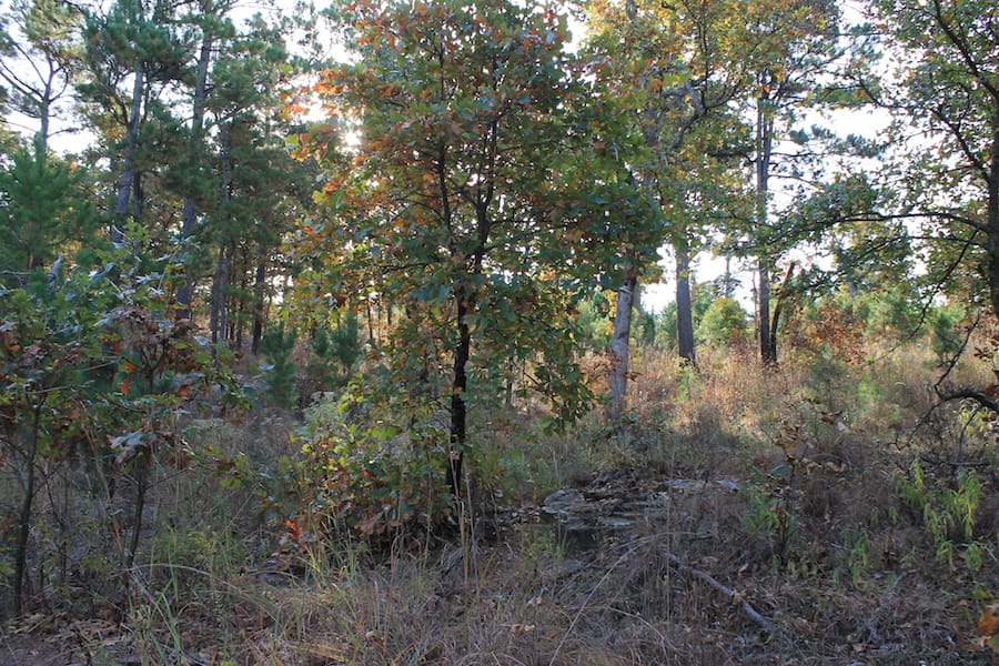 Indian Ridge – Phase III Tract 90 photo 6
