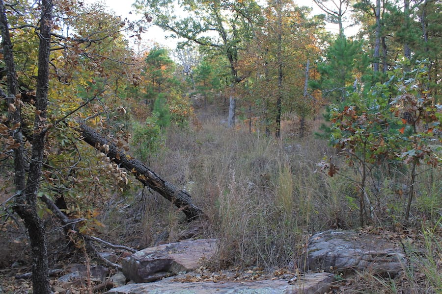 Indian Ridge – Phase III Tract 90 photo 7