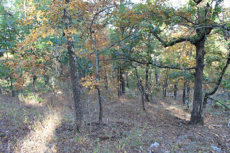 Indian Ridge – Phase III Tract 90 photo 8