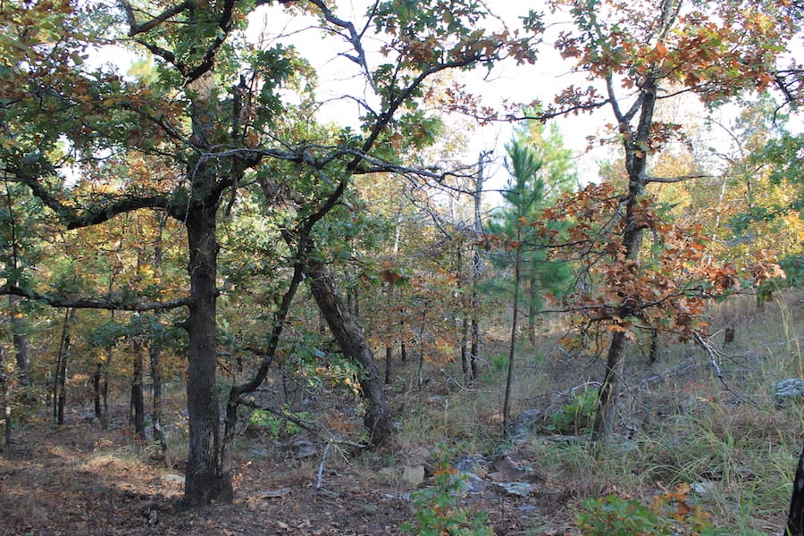 Indian Ridge – Phase III Tract 90 photo 9