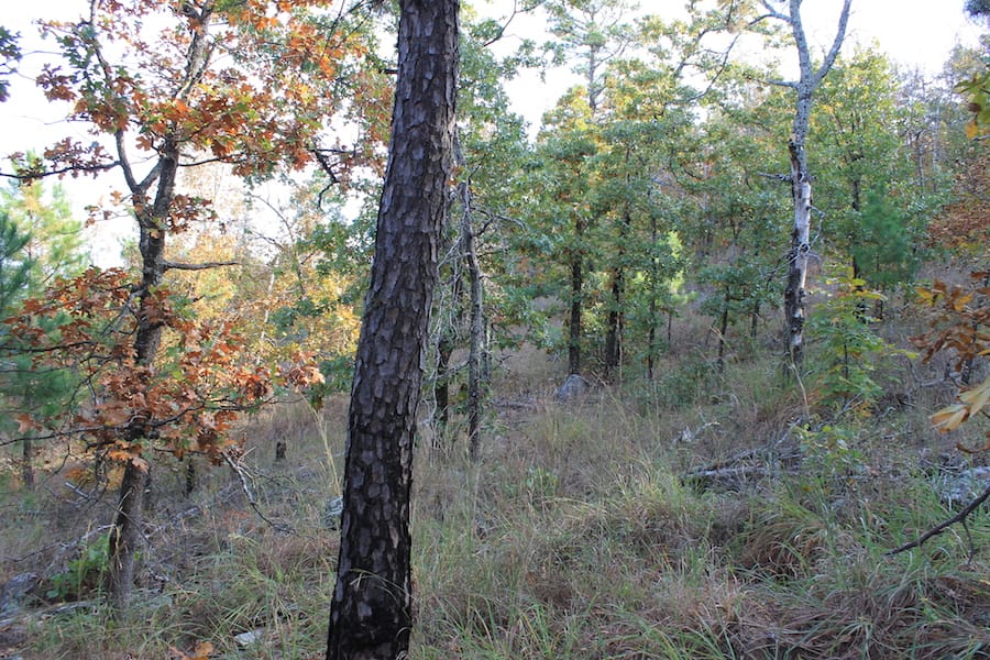 Indian Ridge – Phase III Tract 90 photo 10