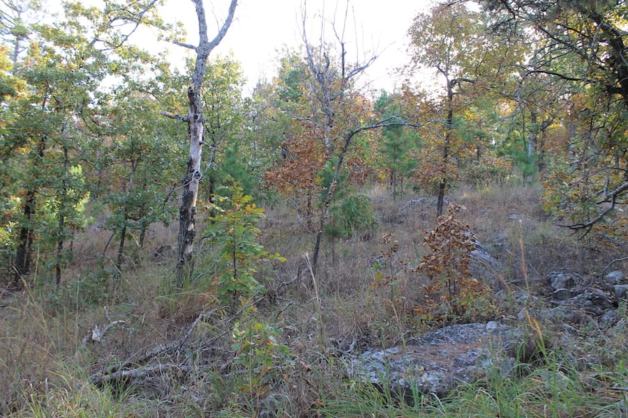 Indian Ridge – Phase III Tract 90 photo 11