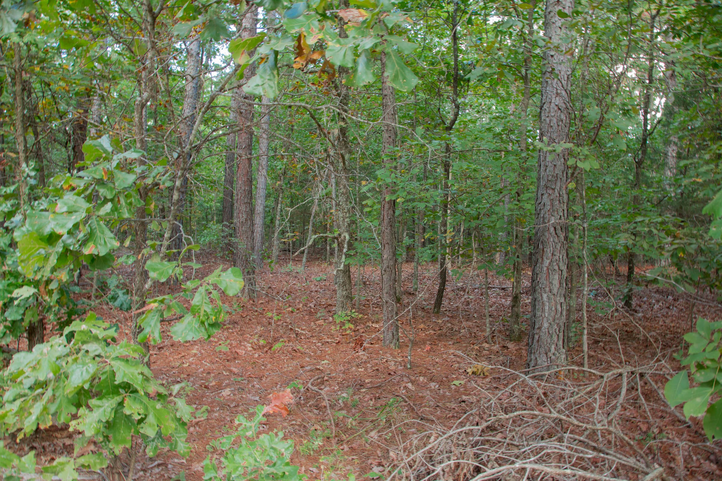 Wagon Wheel Ranch Tract 3 photo 1