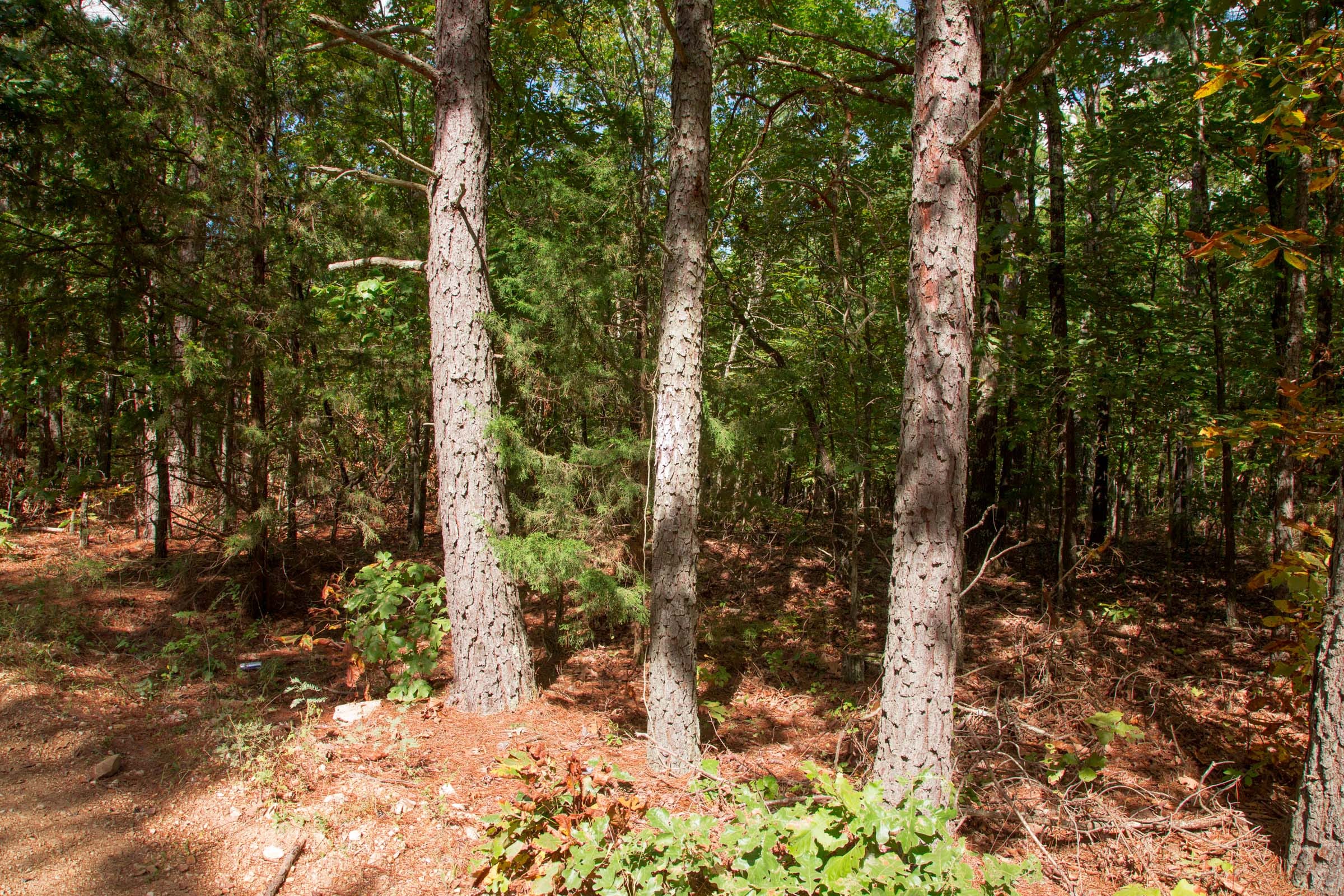 Wagon Wheel Ranch Tract 3 photo 8