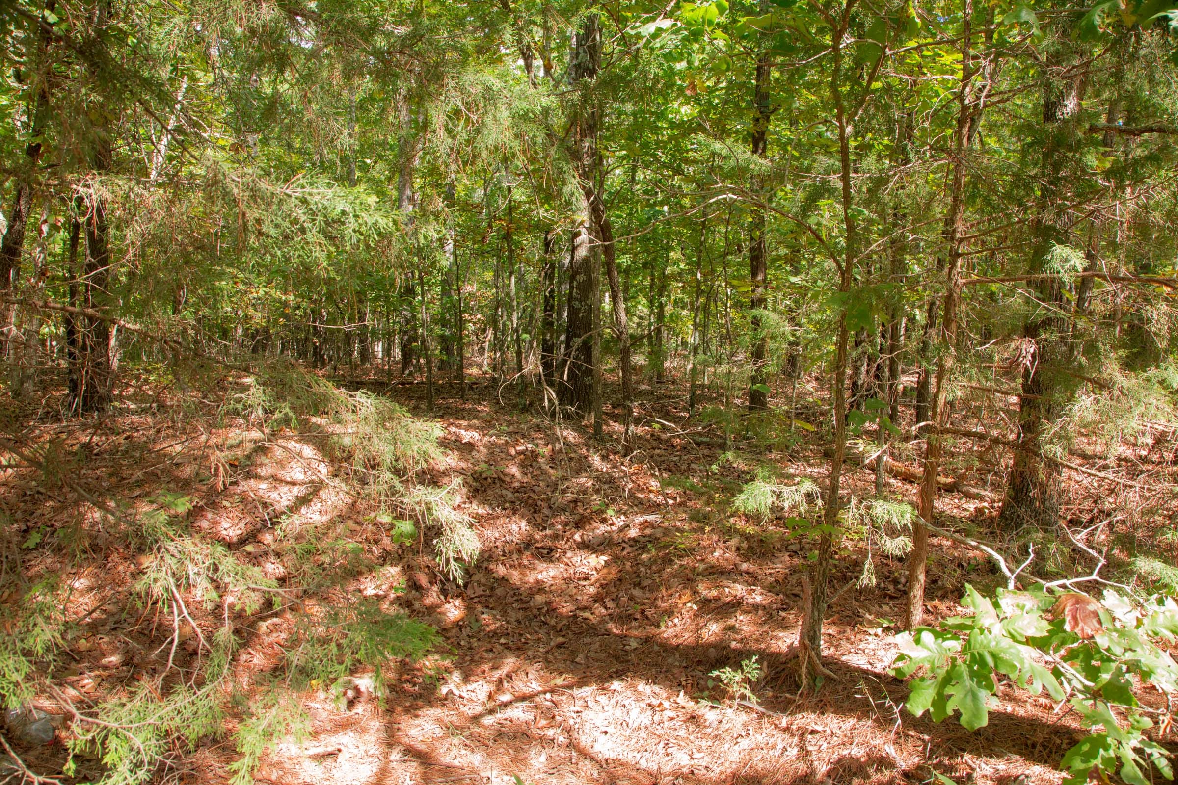 Wagon Wheel Ranch Tract 3 photo 9