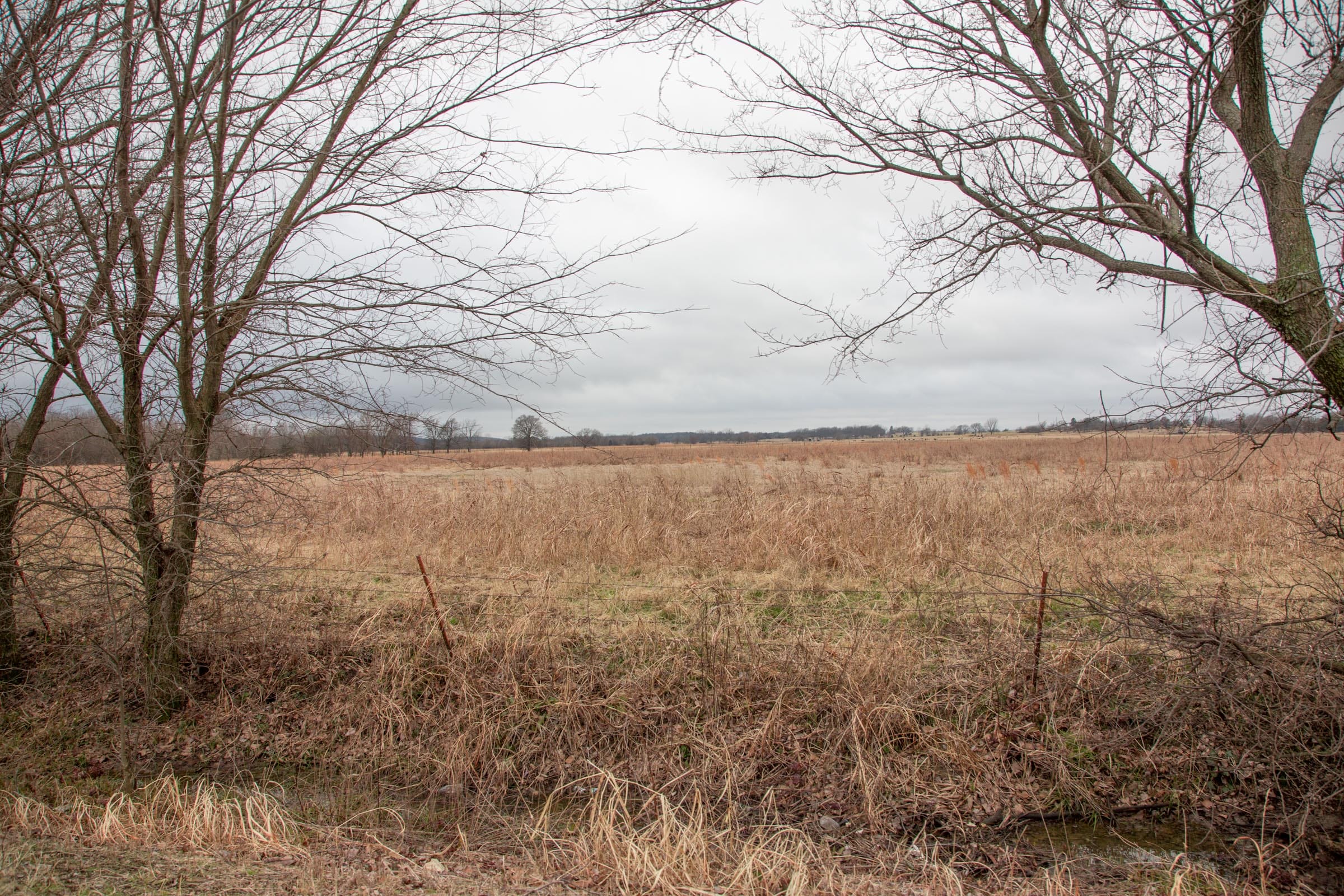 Canadian Plains Tract 10 photo 2