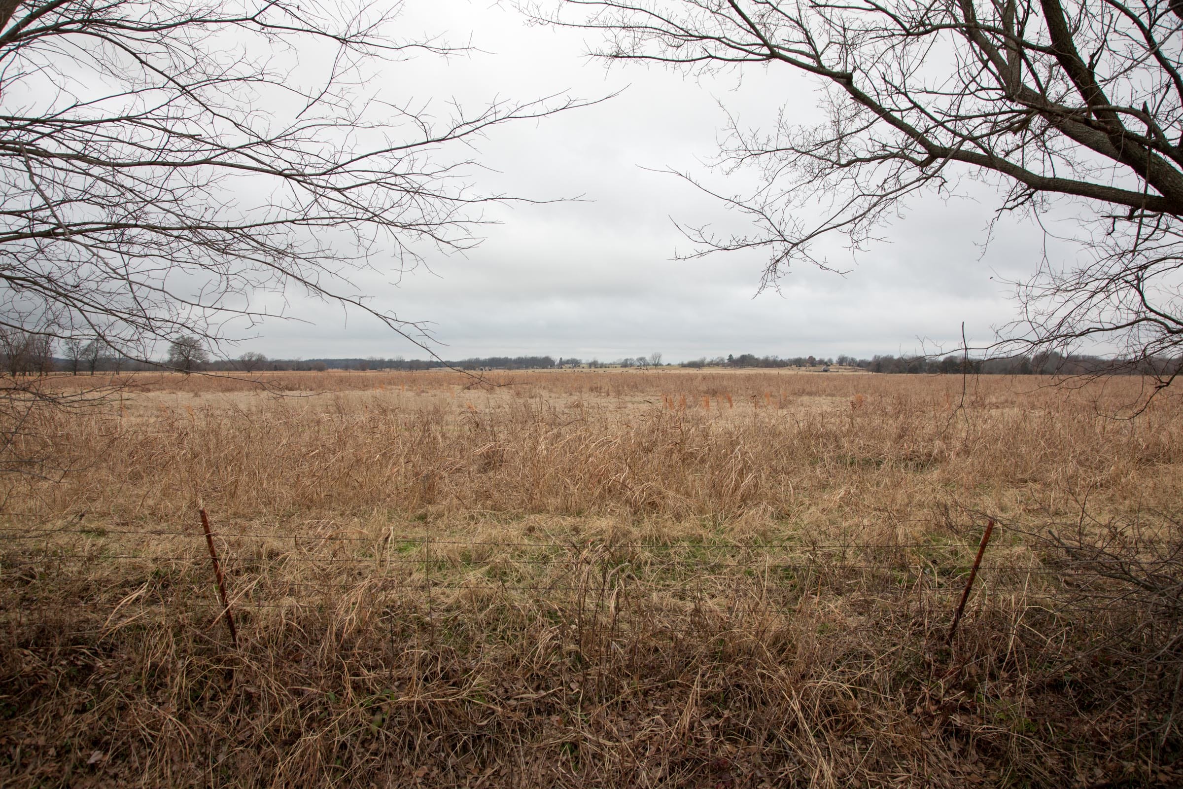 Canadian Plains Tract 10 photo 4