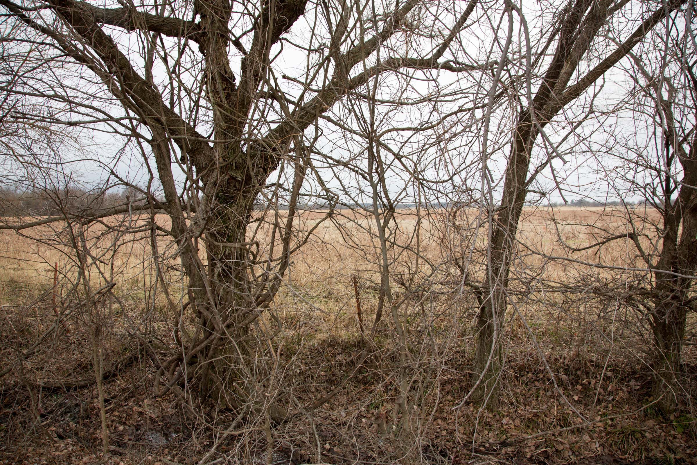 Canadian Plains Tract 10 photo 3