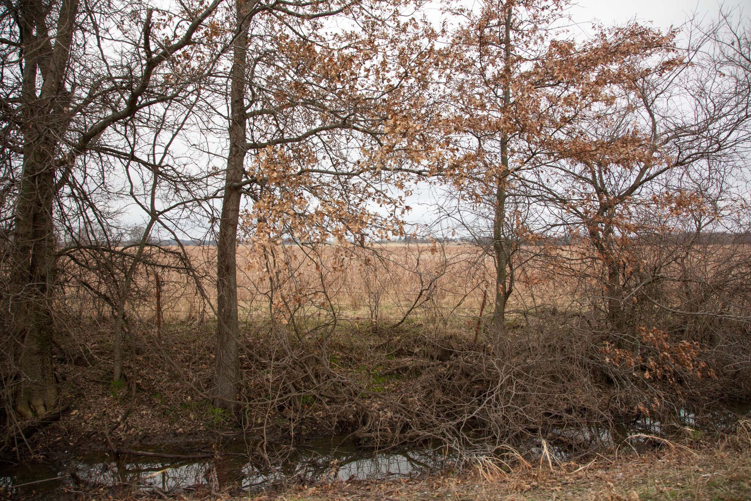 Canadian Plains Tract 10 photo 6