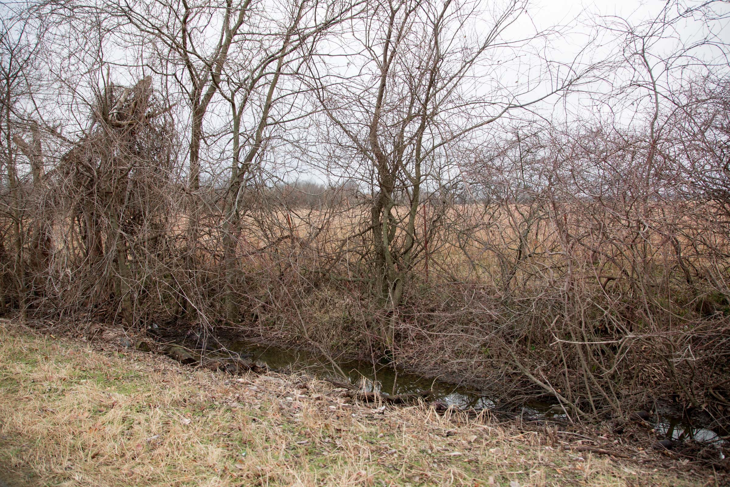 Canadian Plains Tract 10 photo 8