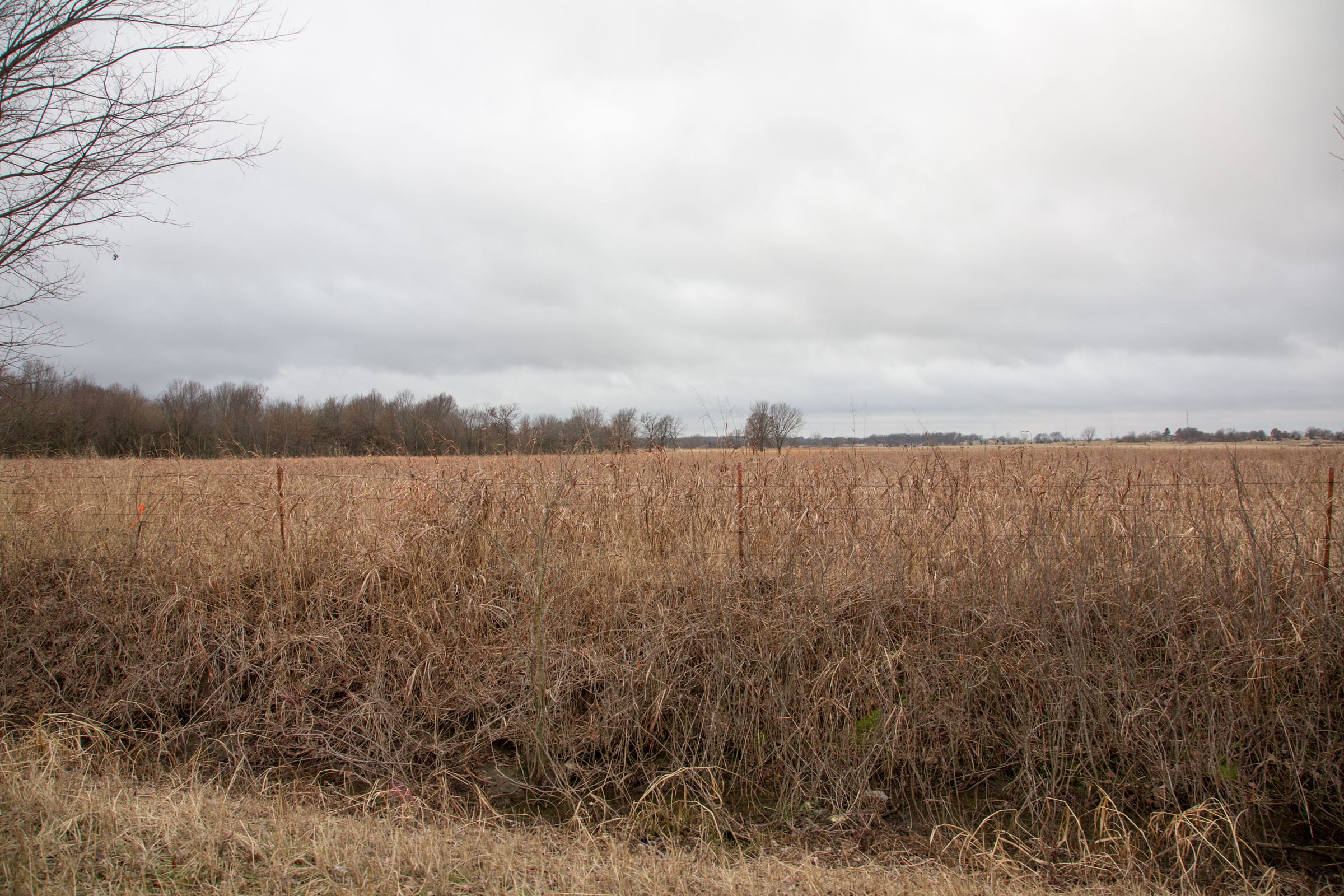 Canadian Plains Tract 10 photo 7