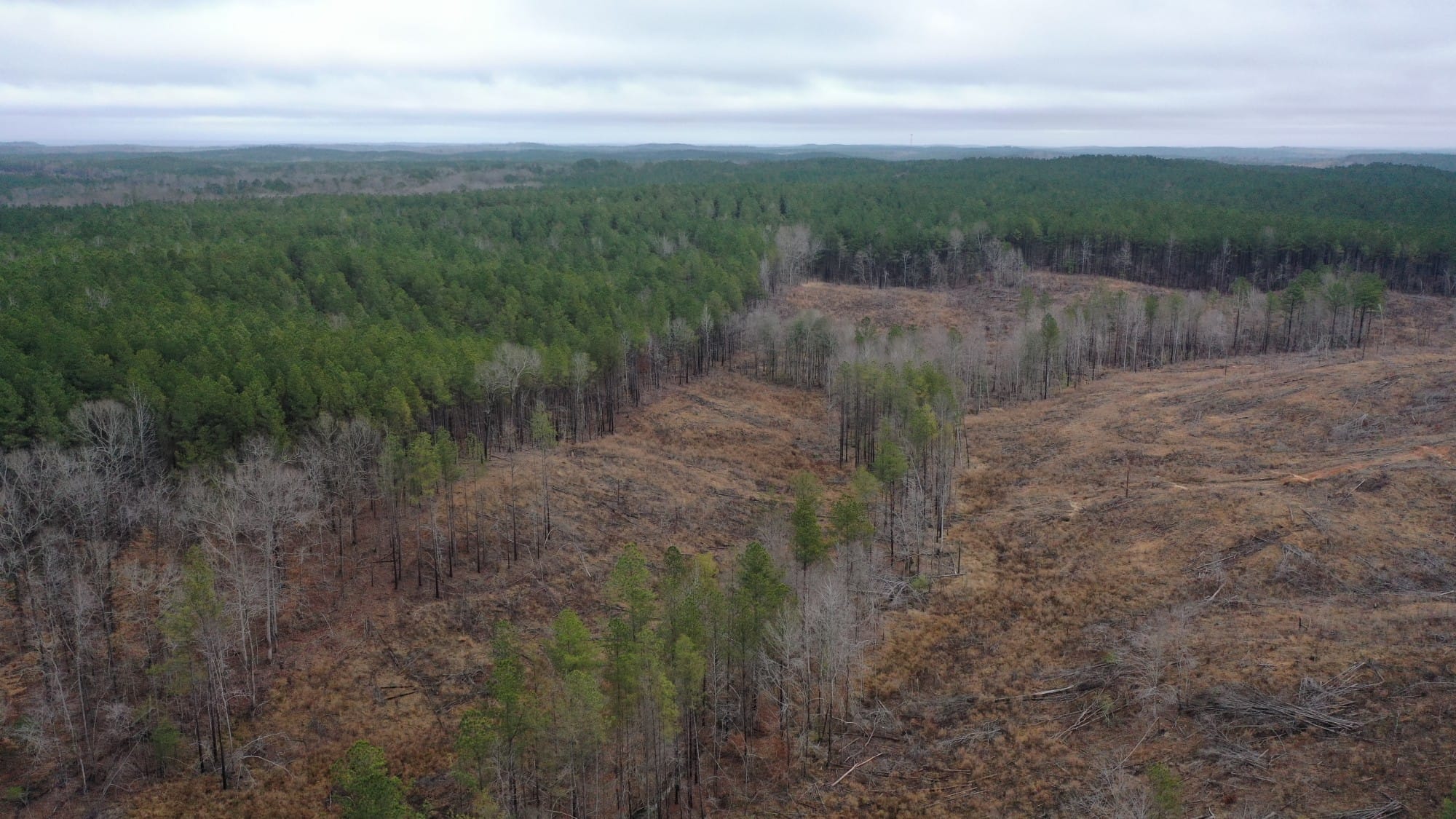 Fairview Hills Tract 3 photo 3