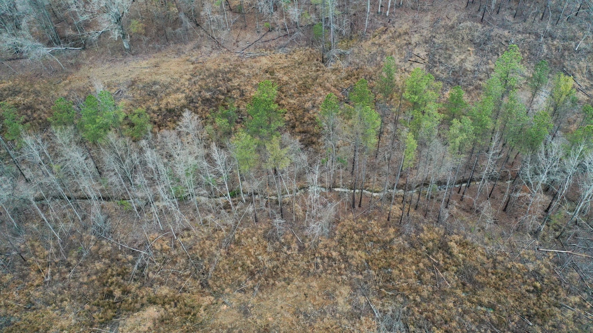 Fairview Hills Tract 3 photo 5