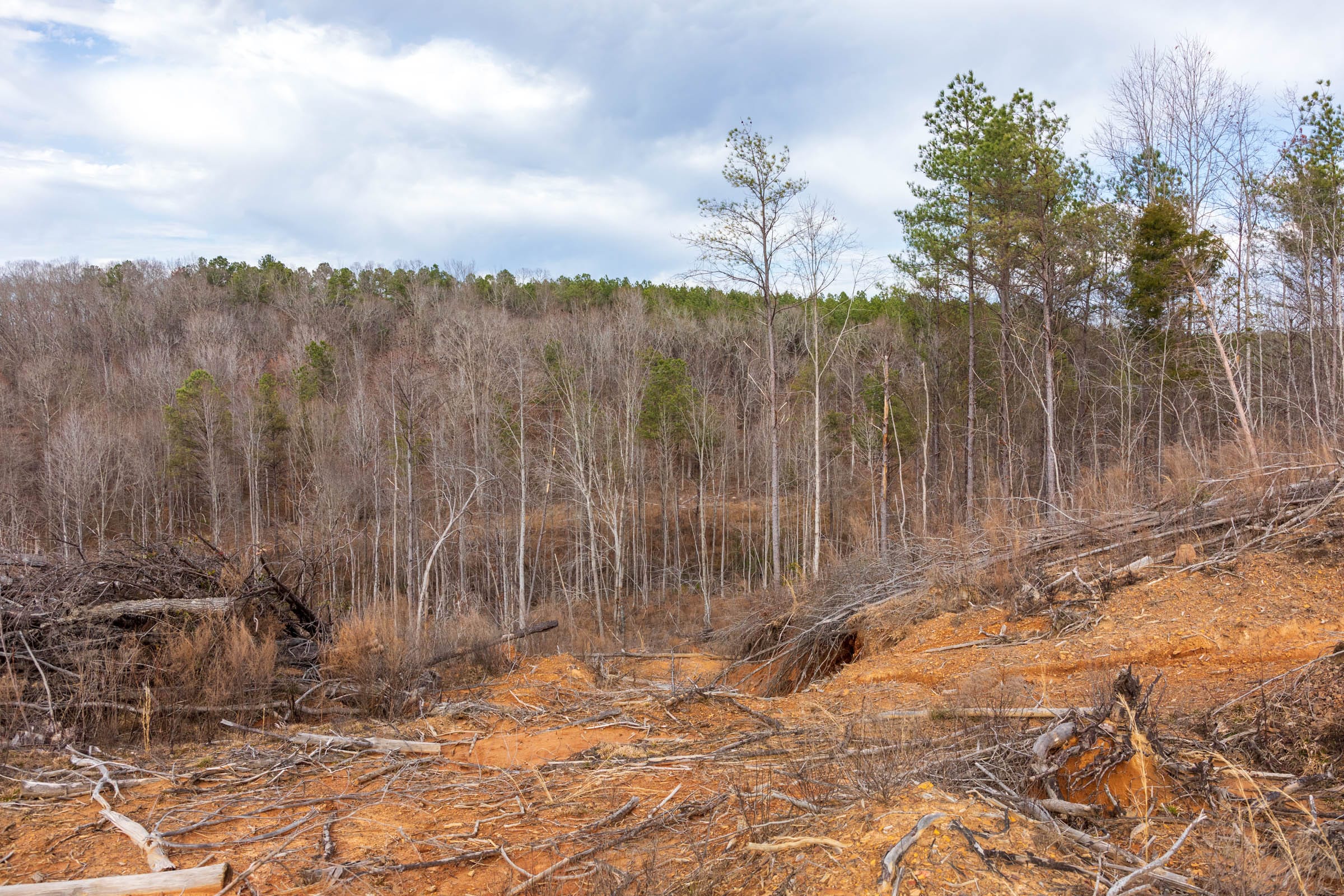 Fairview Hills Tract 3 photo 8