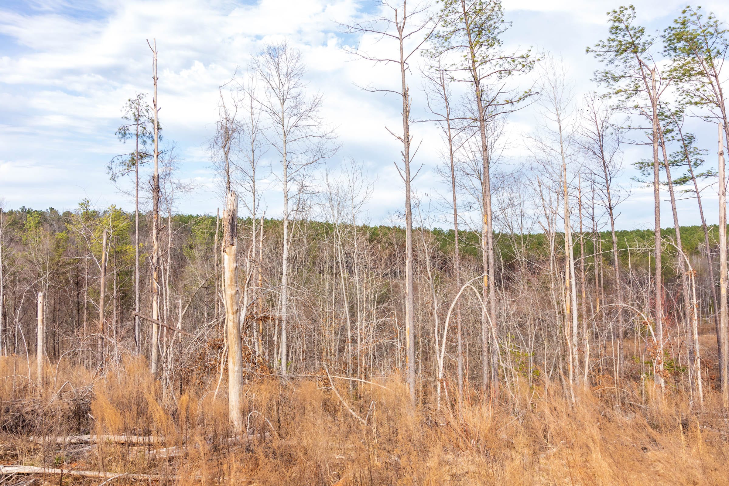 Fairview Hills Tract 3 photo 11
