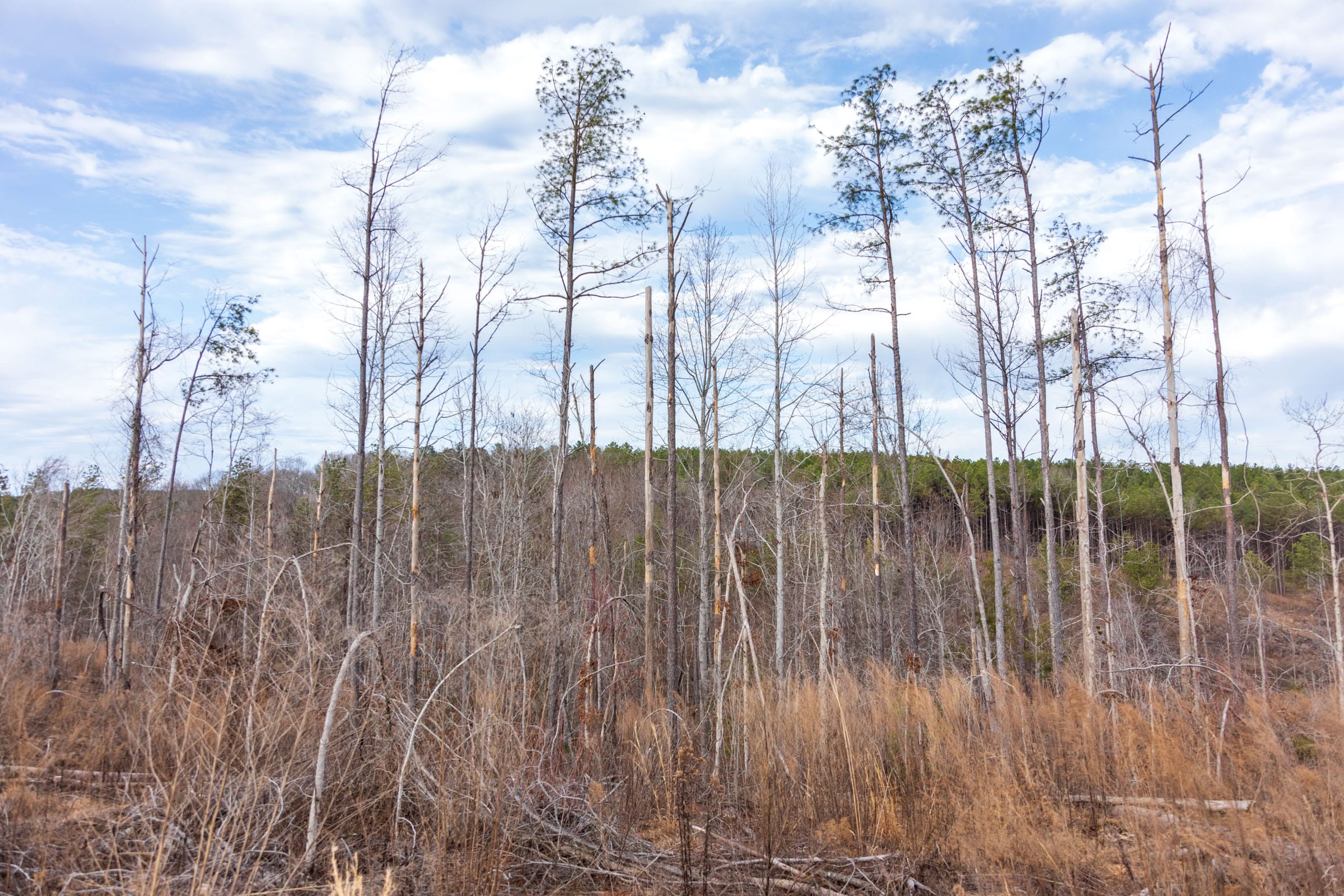 Fairview Hills Tract 3 photo 12