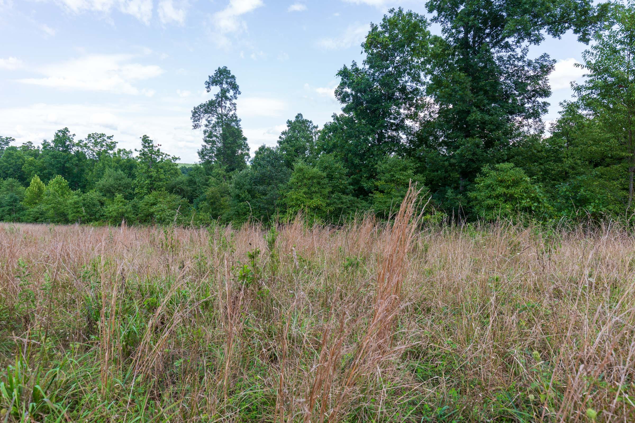 Cypress Ridge Tract 17 photo 2