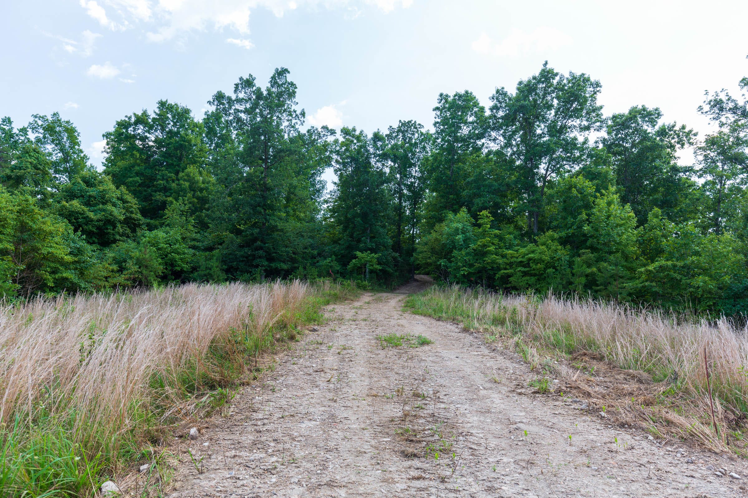 Cypress Ridge Tract 17 photo 5