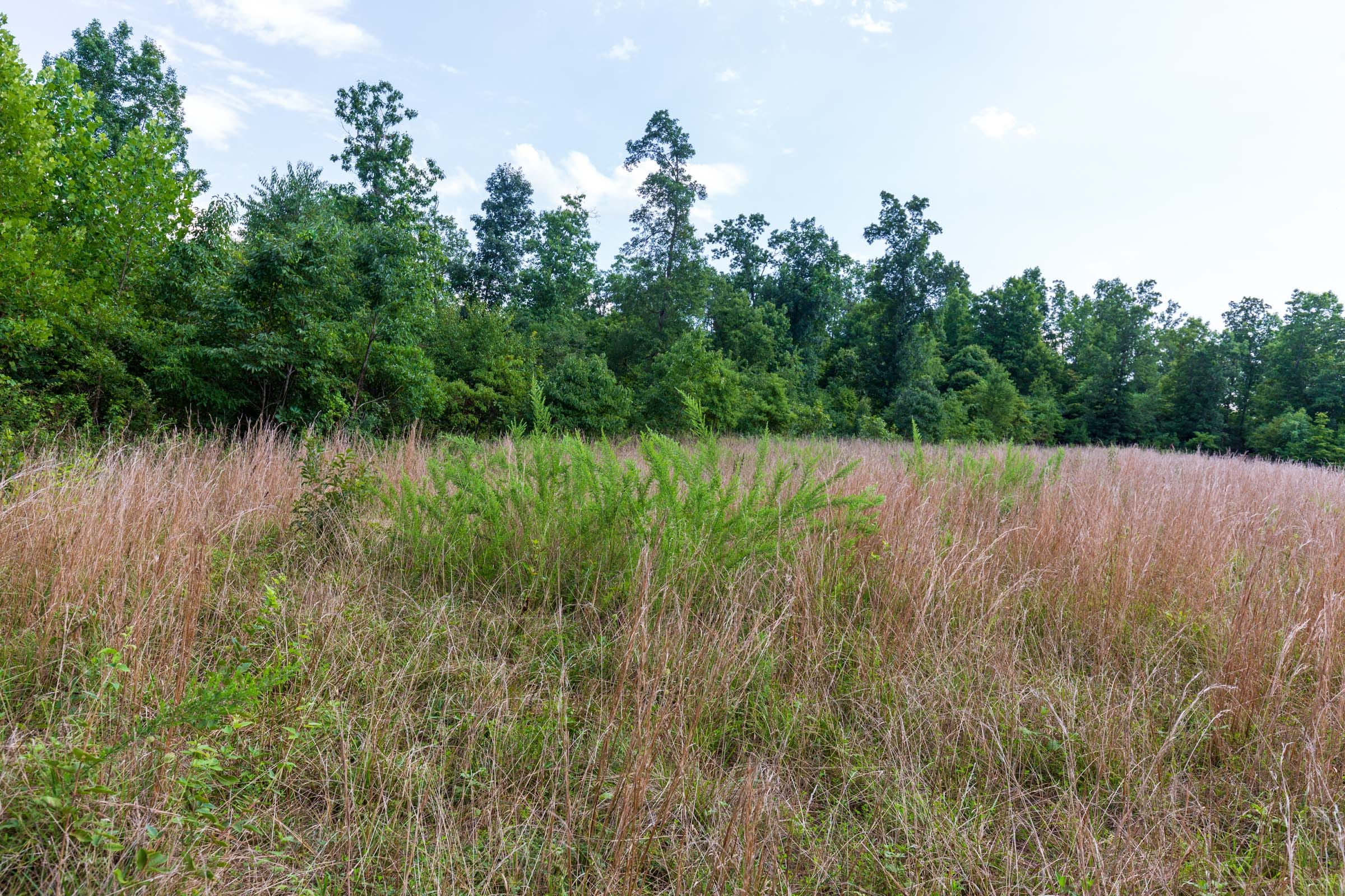 Cypress Ridge Tract 17 photo 8
