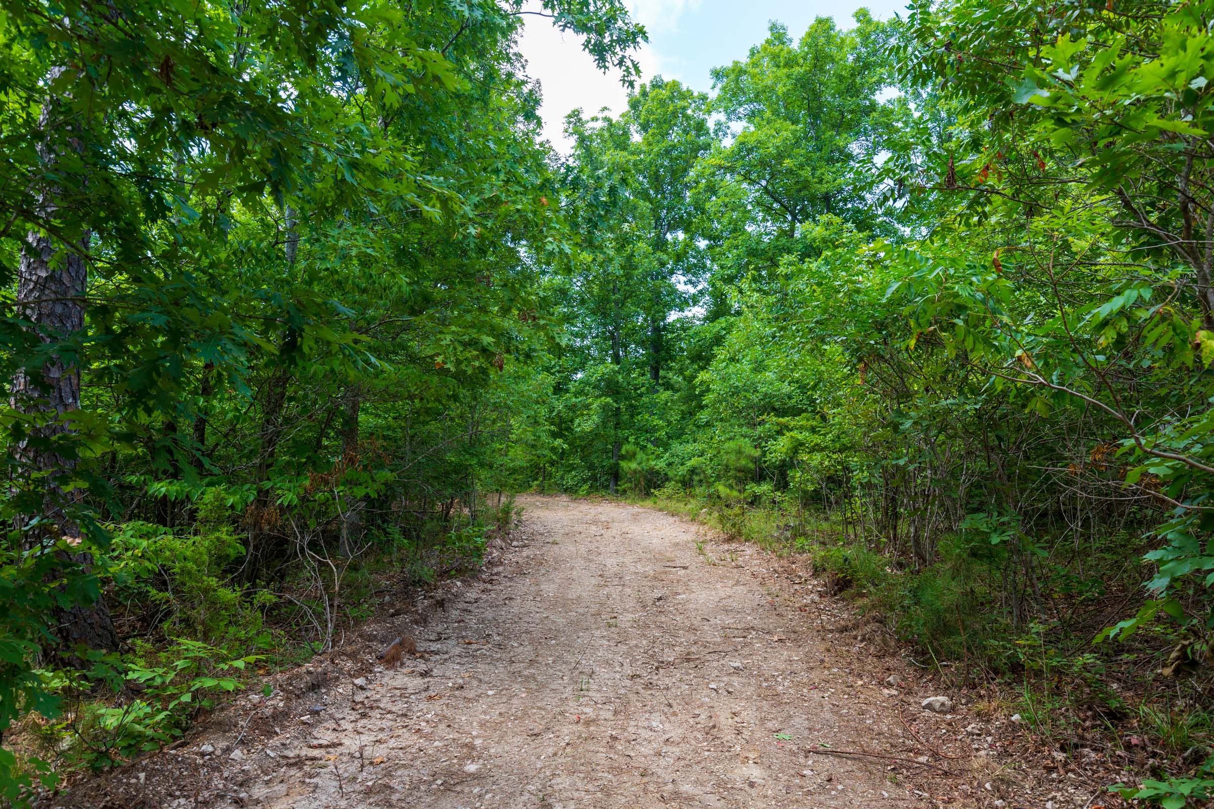 Cypress Ridge Tract 17 photo 9