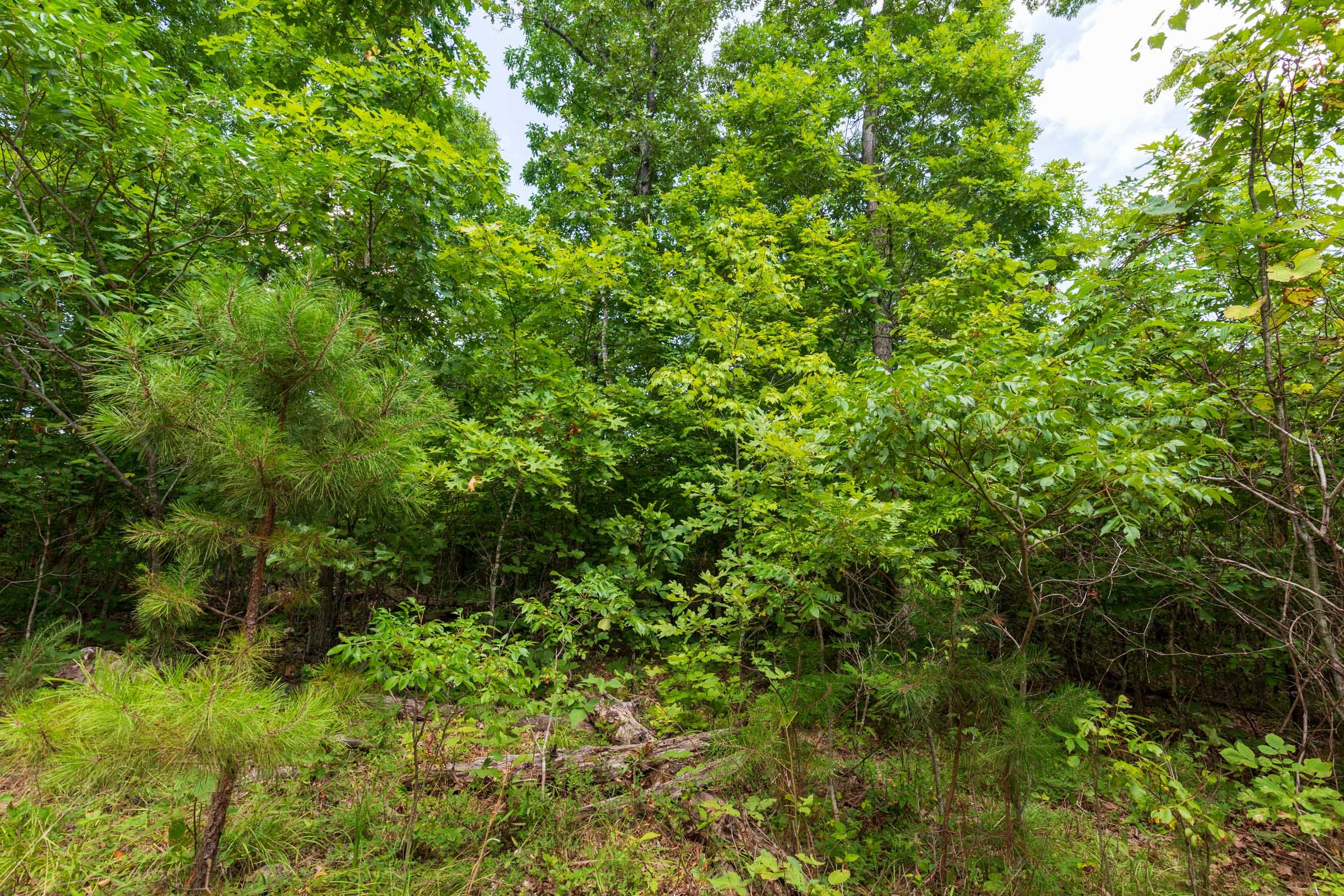 Cypress Ridge Tract 17 photo 15
