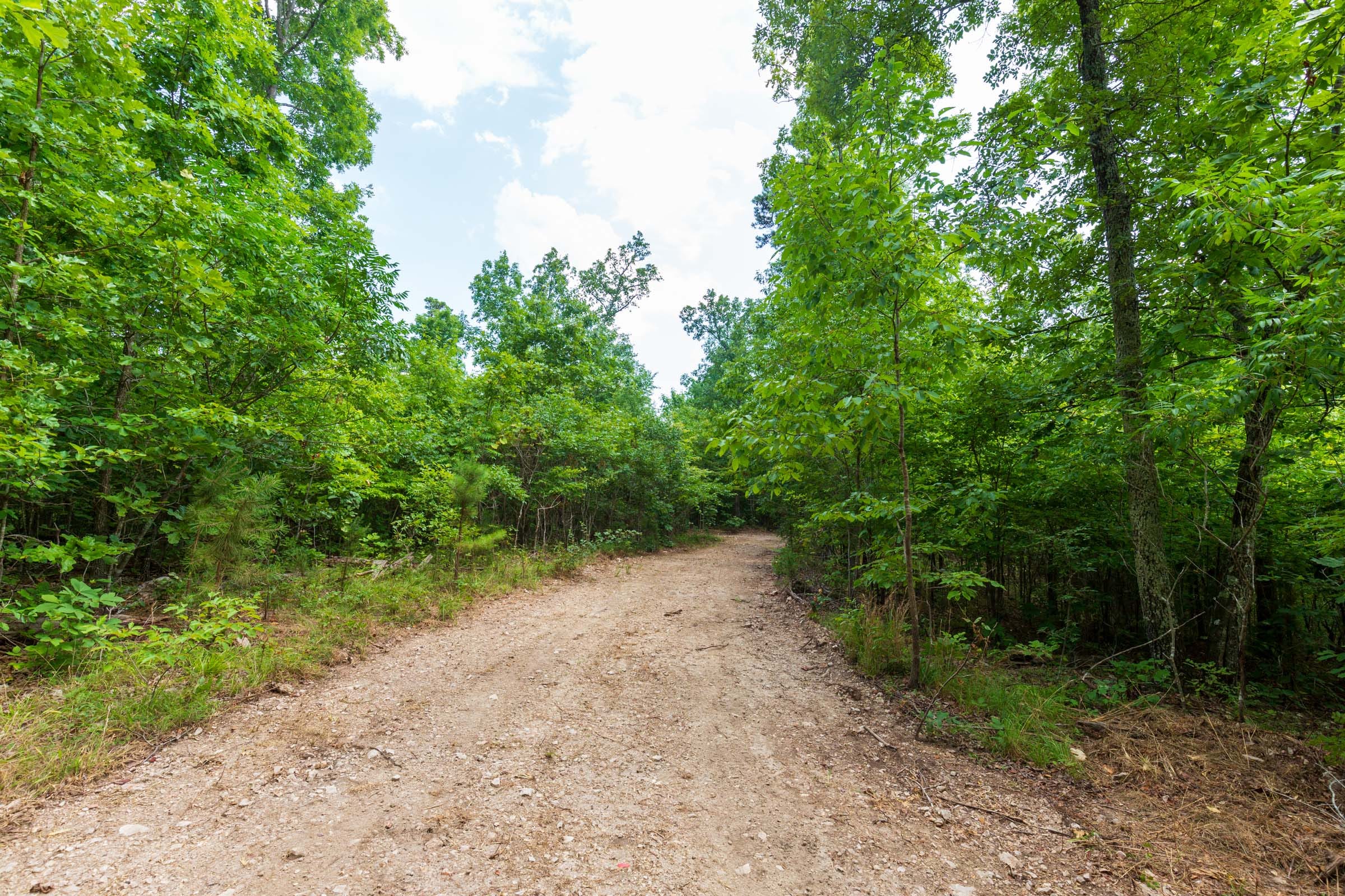 Cypress Ridge Tract 17 photo 13