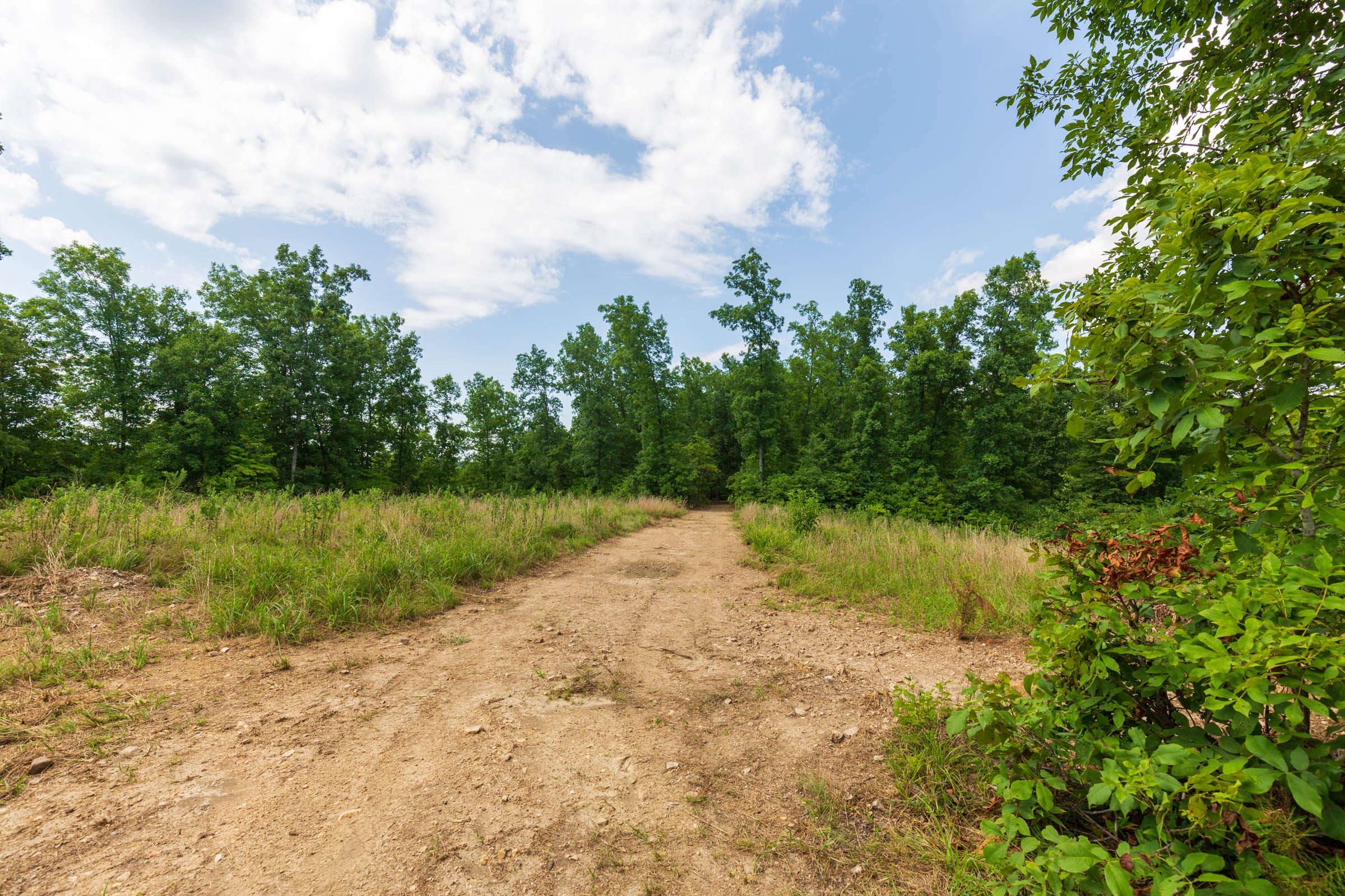 Cypress Ridge Tract 17 photo 1
