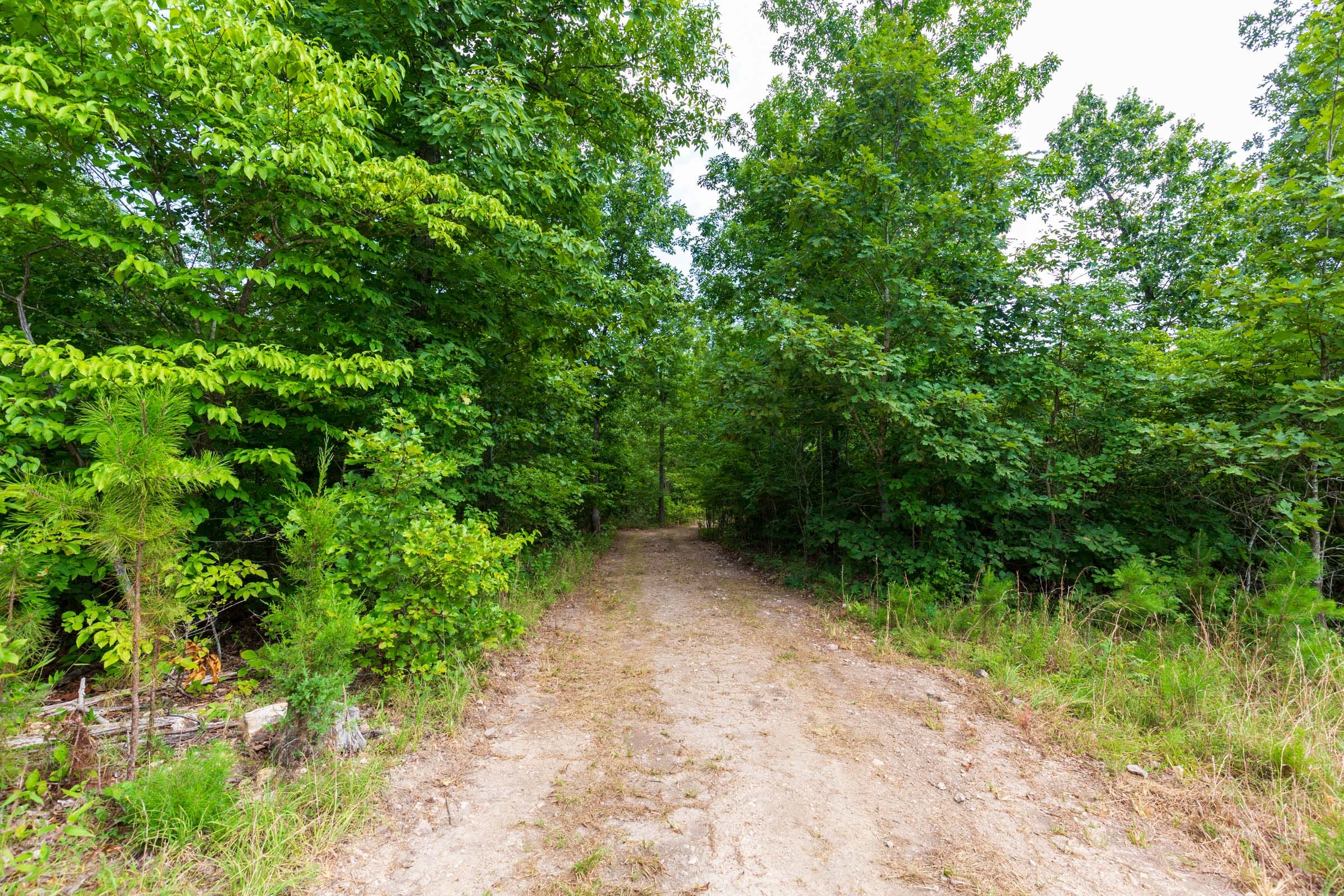 Cypress Ridge Tract 17 photo 17