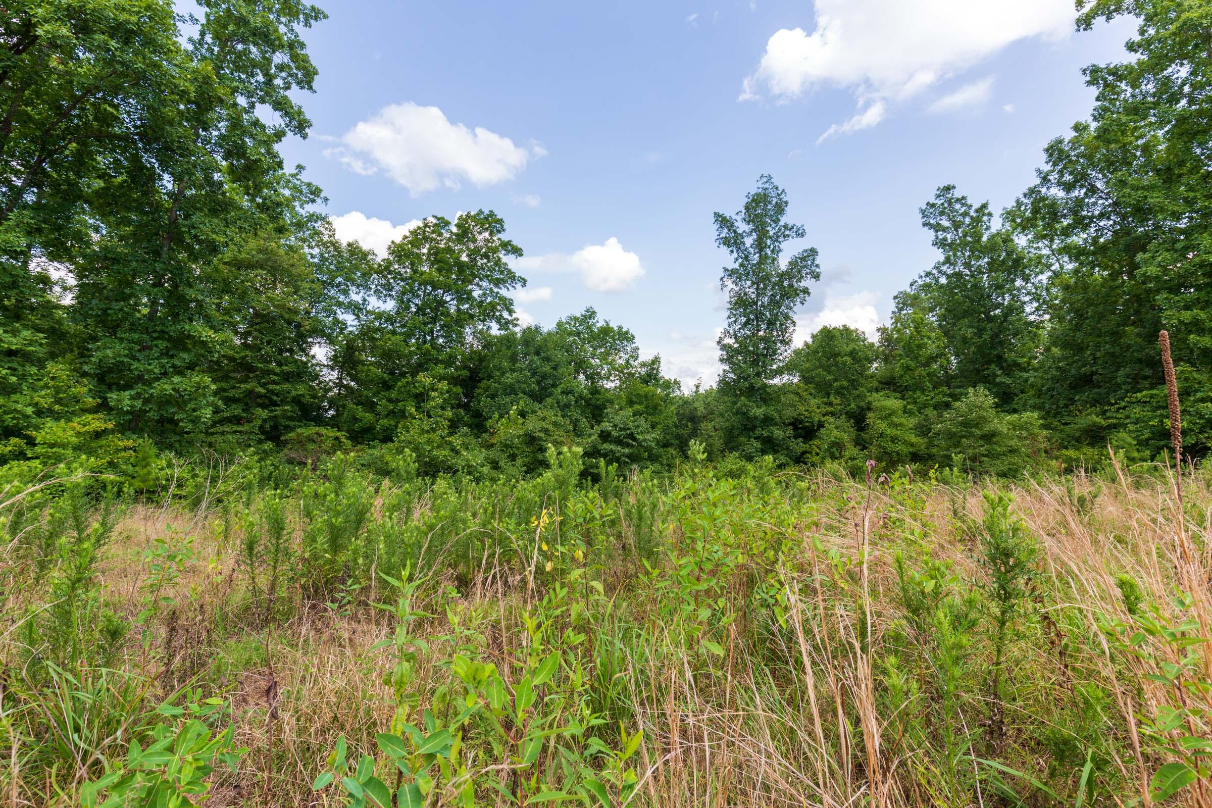Cypress Ridge Tract 17 photo 19