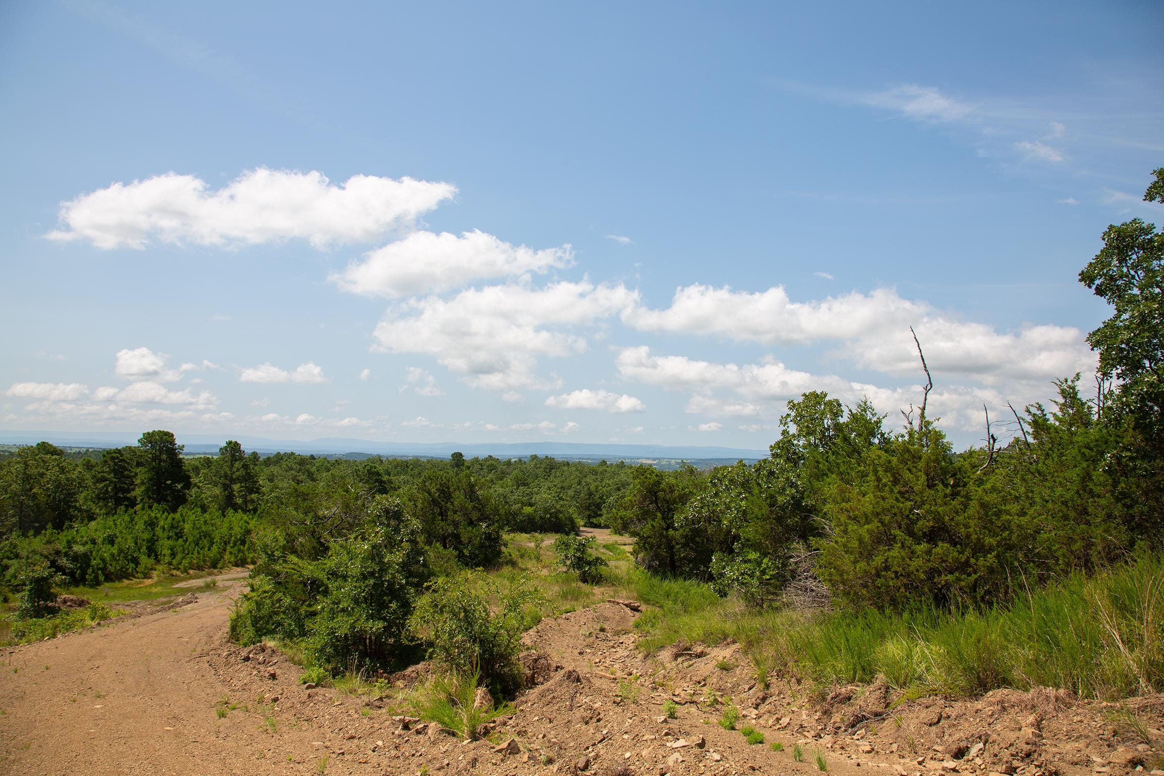 Tyler Stone Ranch Tract 80 photo 4
