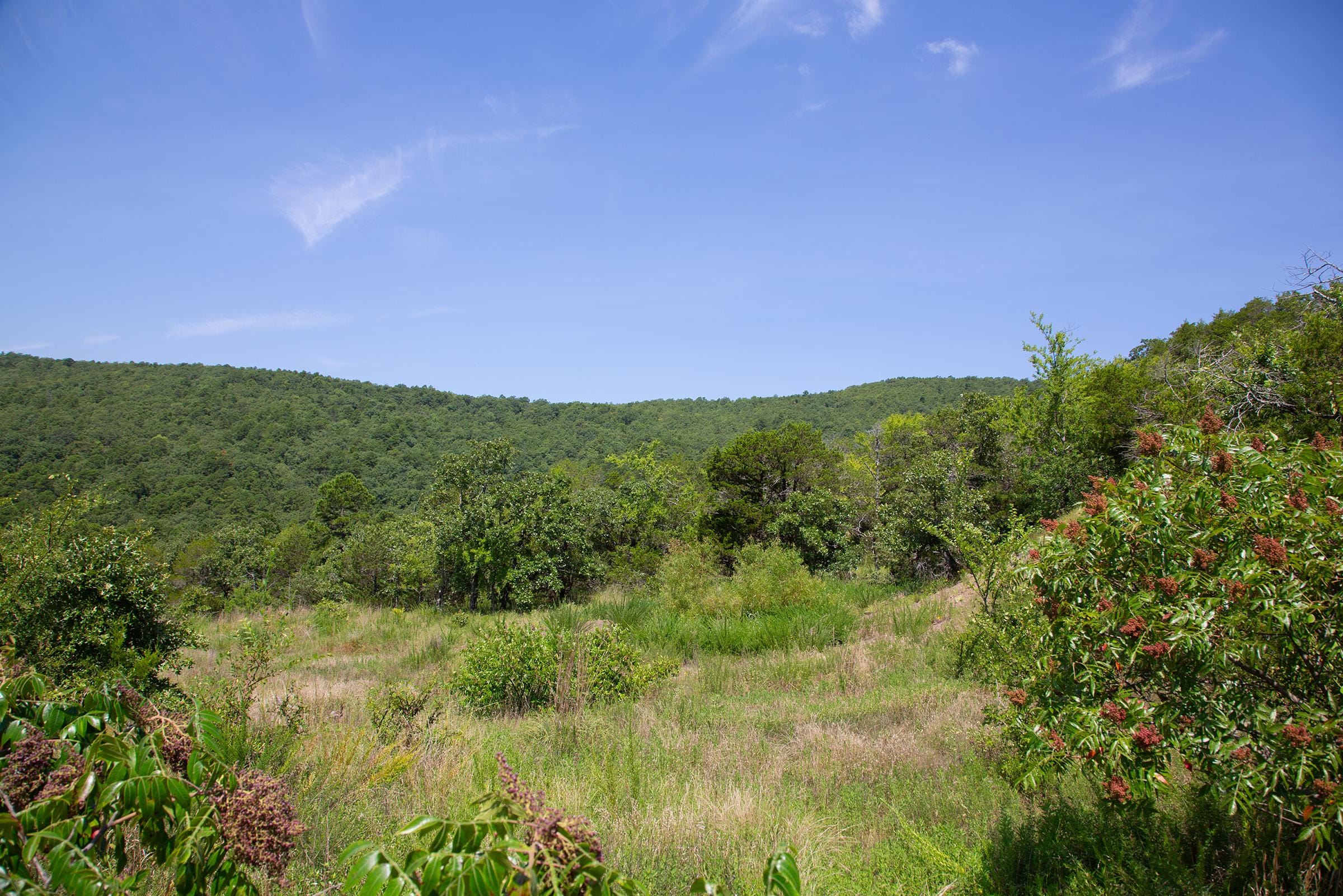 Tyler Stone Ranch Tract 80 photo 6