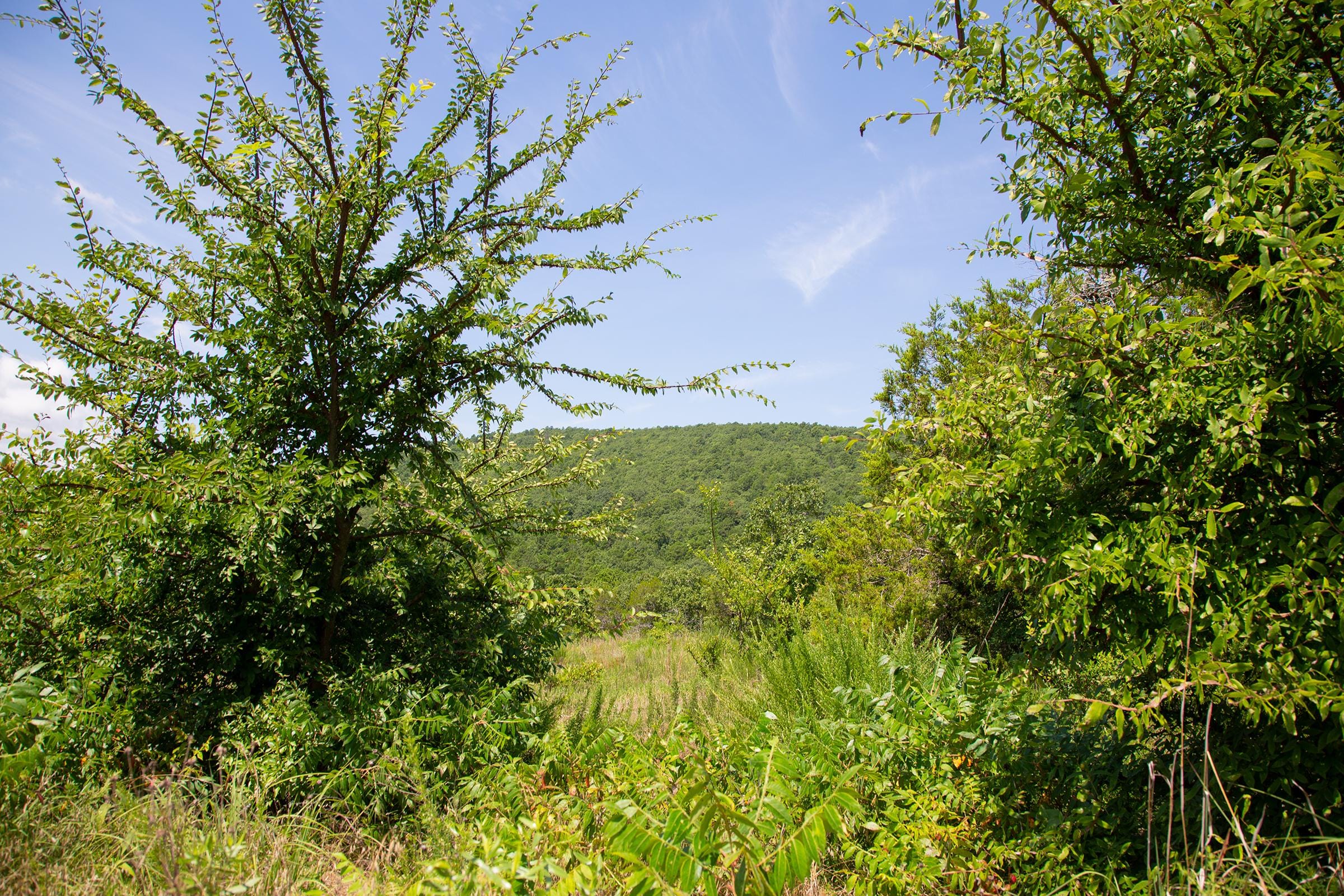 Tyler Stone Ranch Tract 80 photo 7