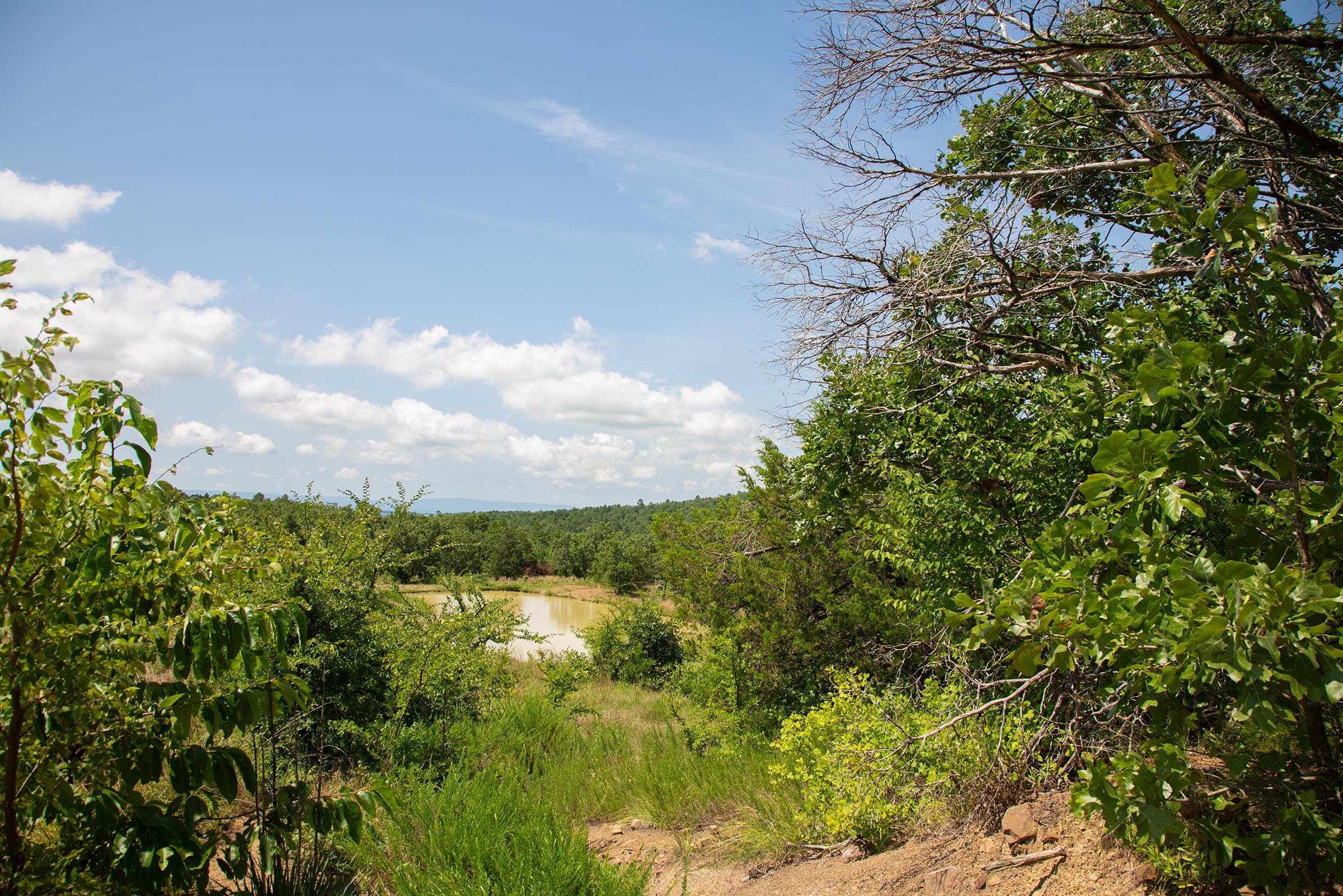 Tyler Stone Ranch Tract 80 photo 8