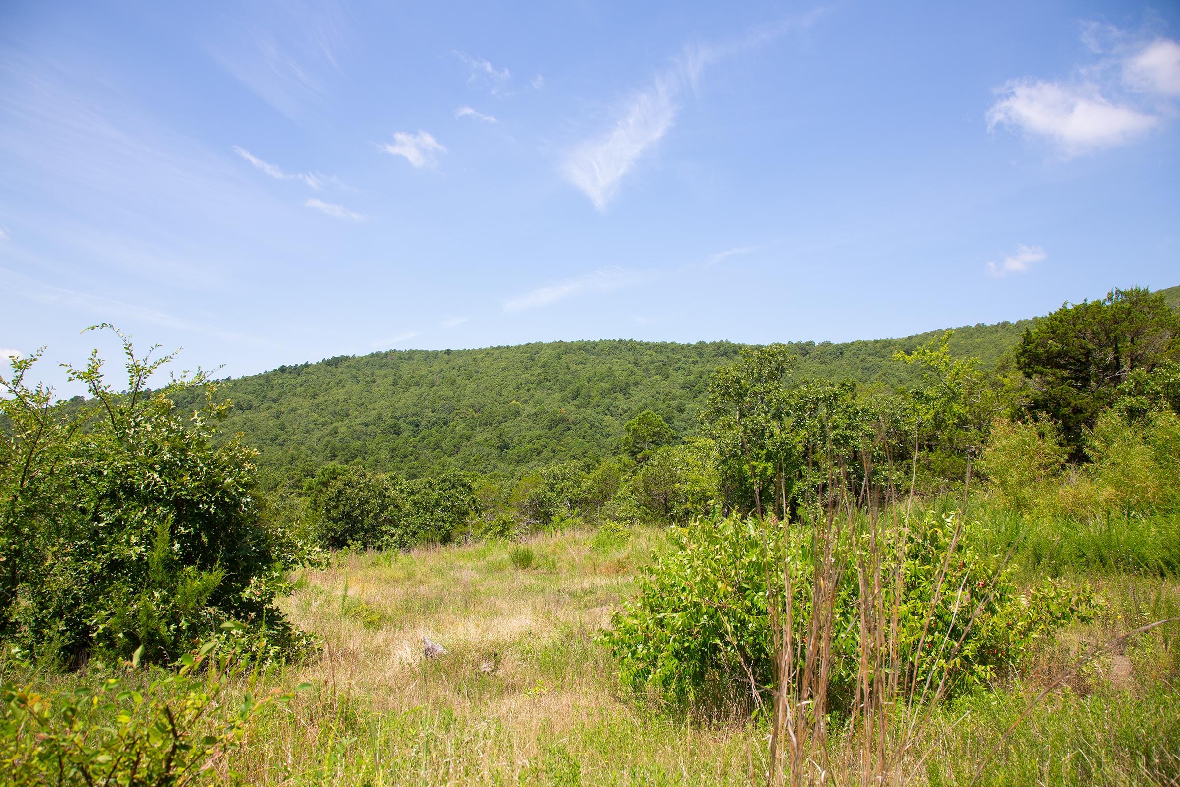 Tyler Stone Ranch Tract 80 photo 9