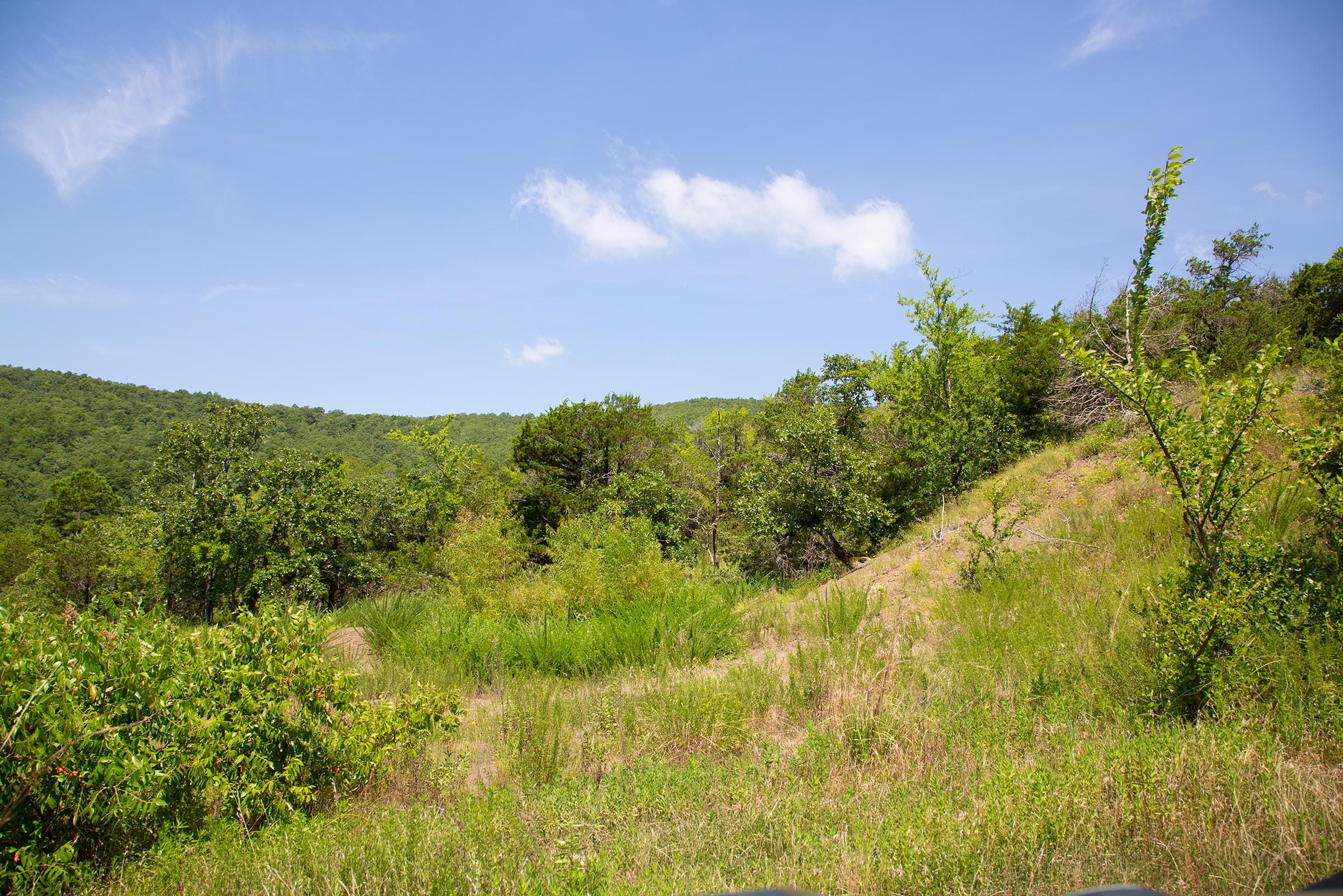 Tyler Stone Ranch Tract 80 photo 10