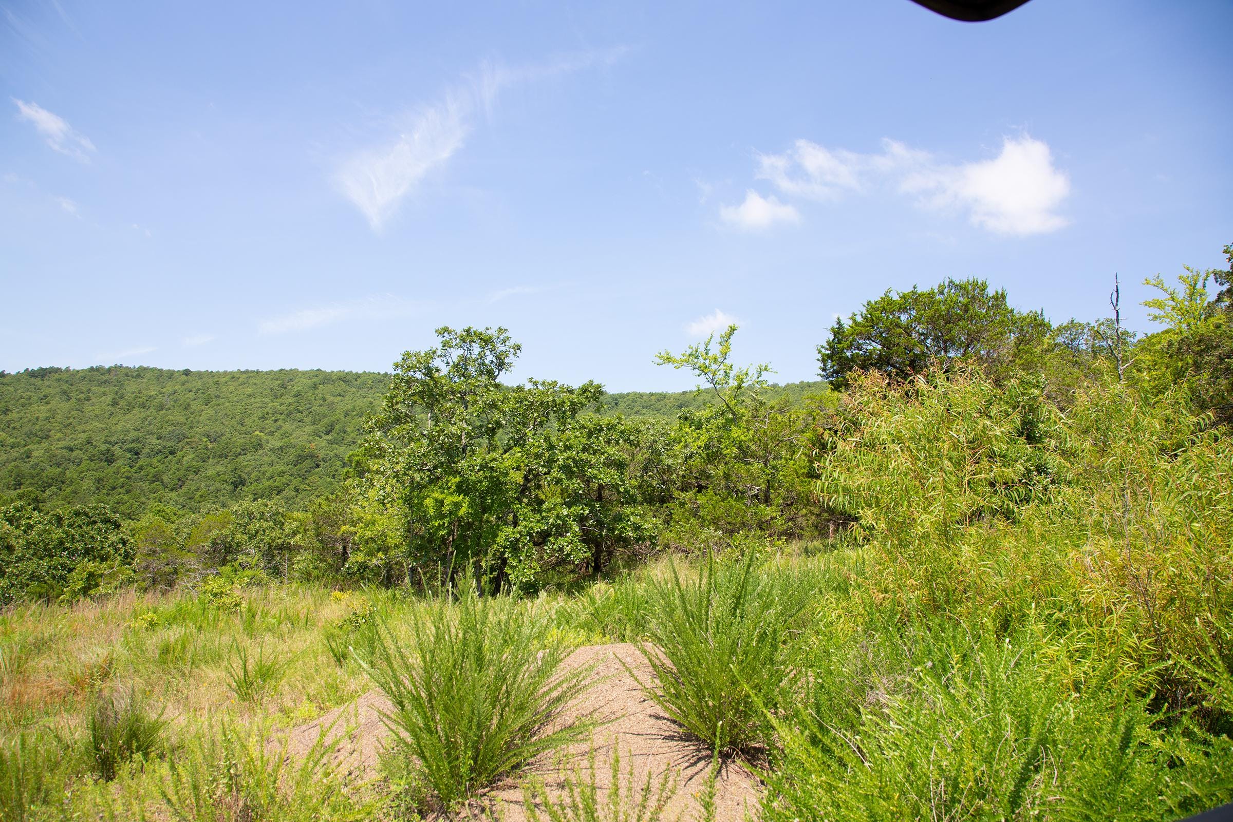 Tyler Stone Ranch Tract 80 photo 11