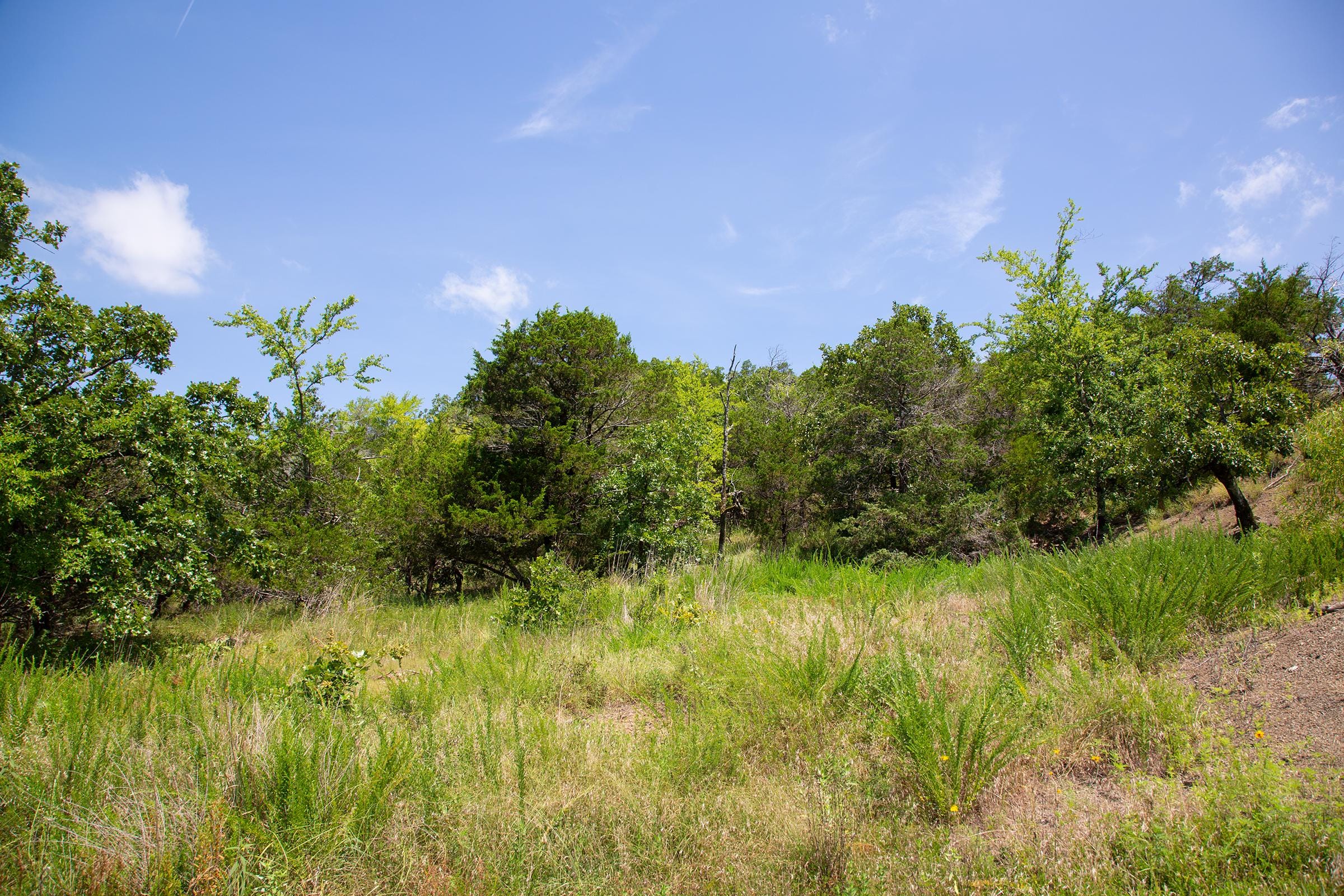 Tyler Stone Ranch Tract 80 photo 12