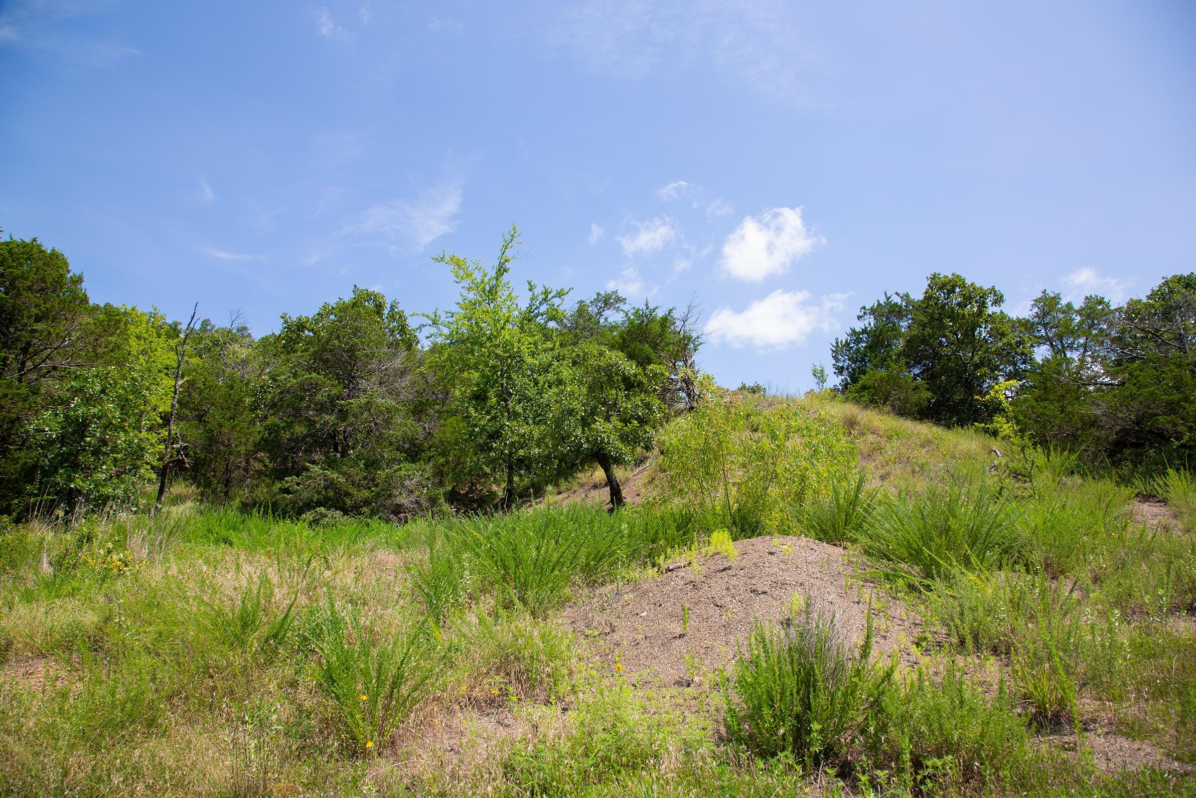 Tyler Stone Ranch Tract 80 photo 13