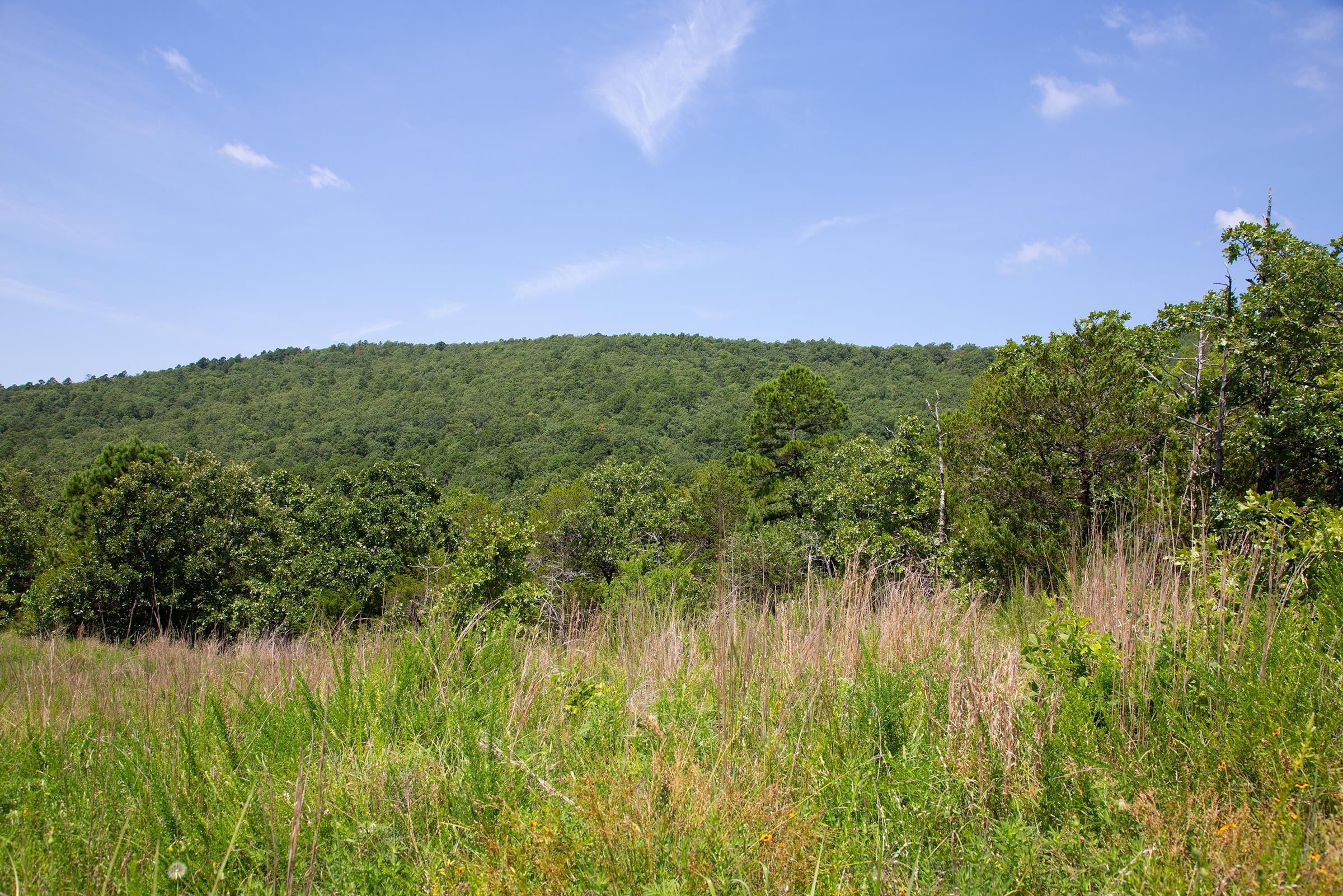 Tyler Stone Ranch Tract 80 photo 14