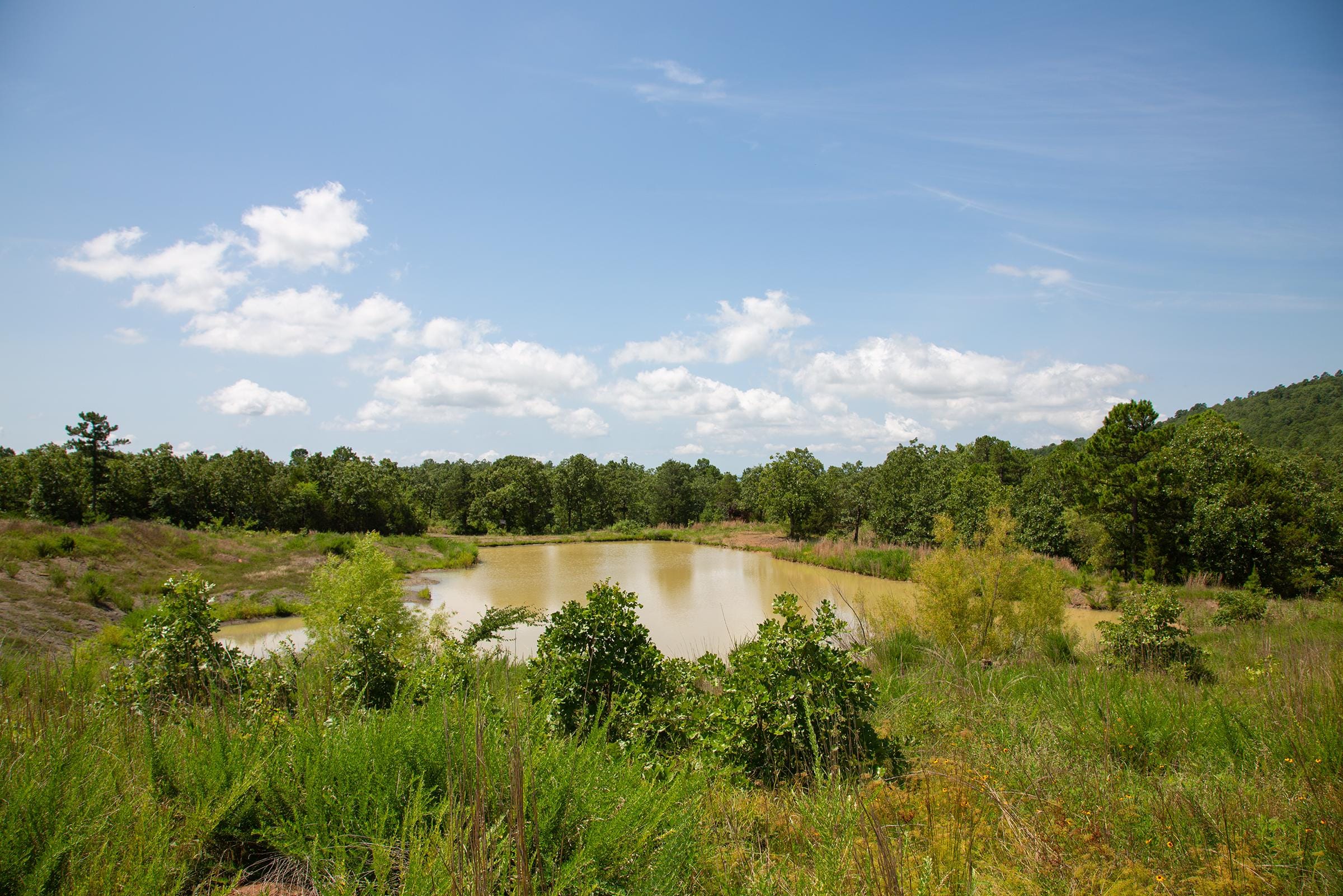 Tyler Stone Ranch Tract 80 photo 1