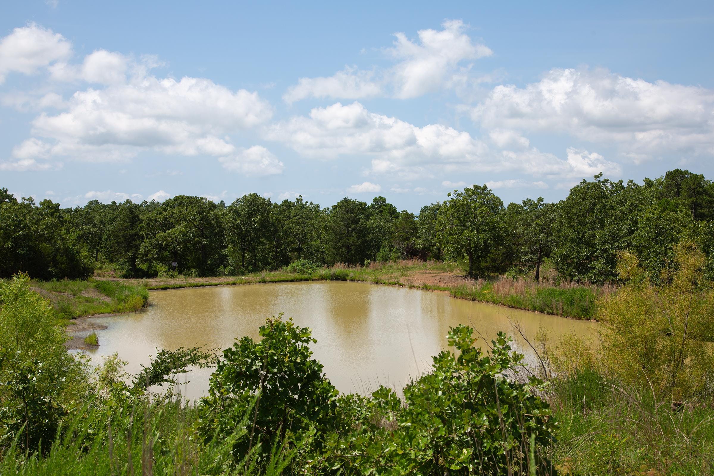 Tyler Stone Ranch Tract 80 photo 3