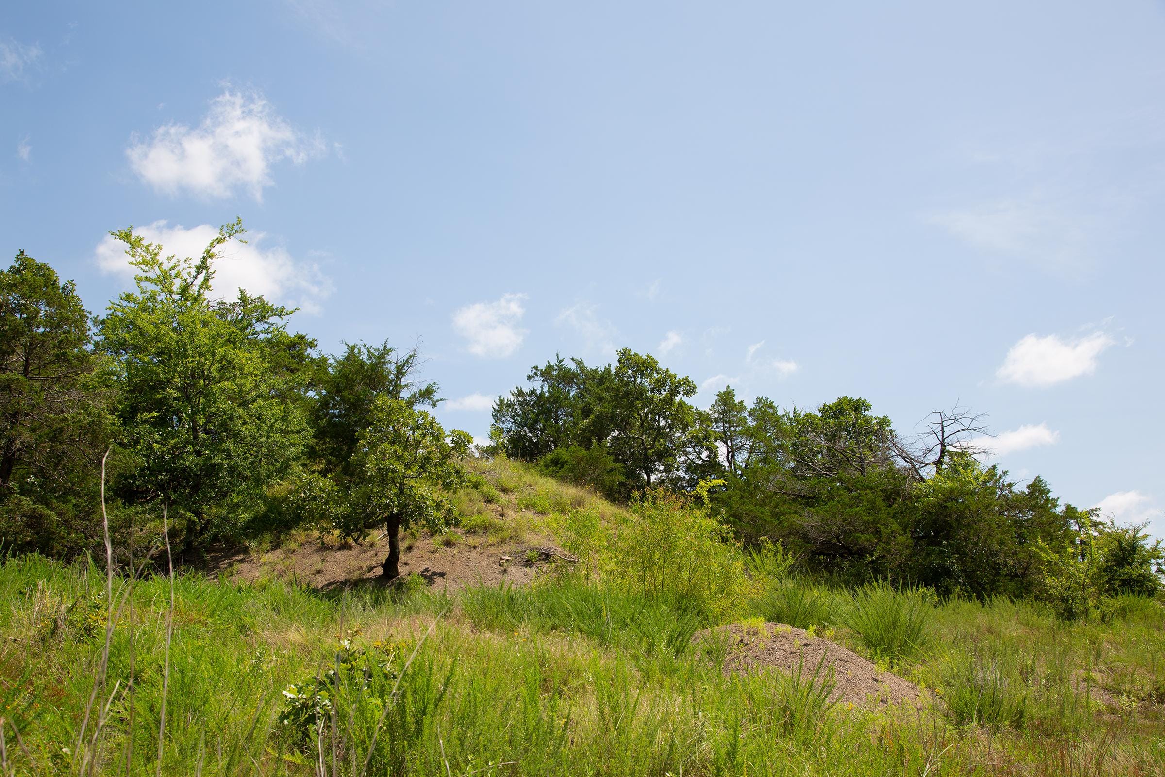 Tyler Stone Ranch Tract 80 photo 15