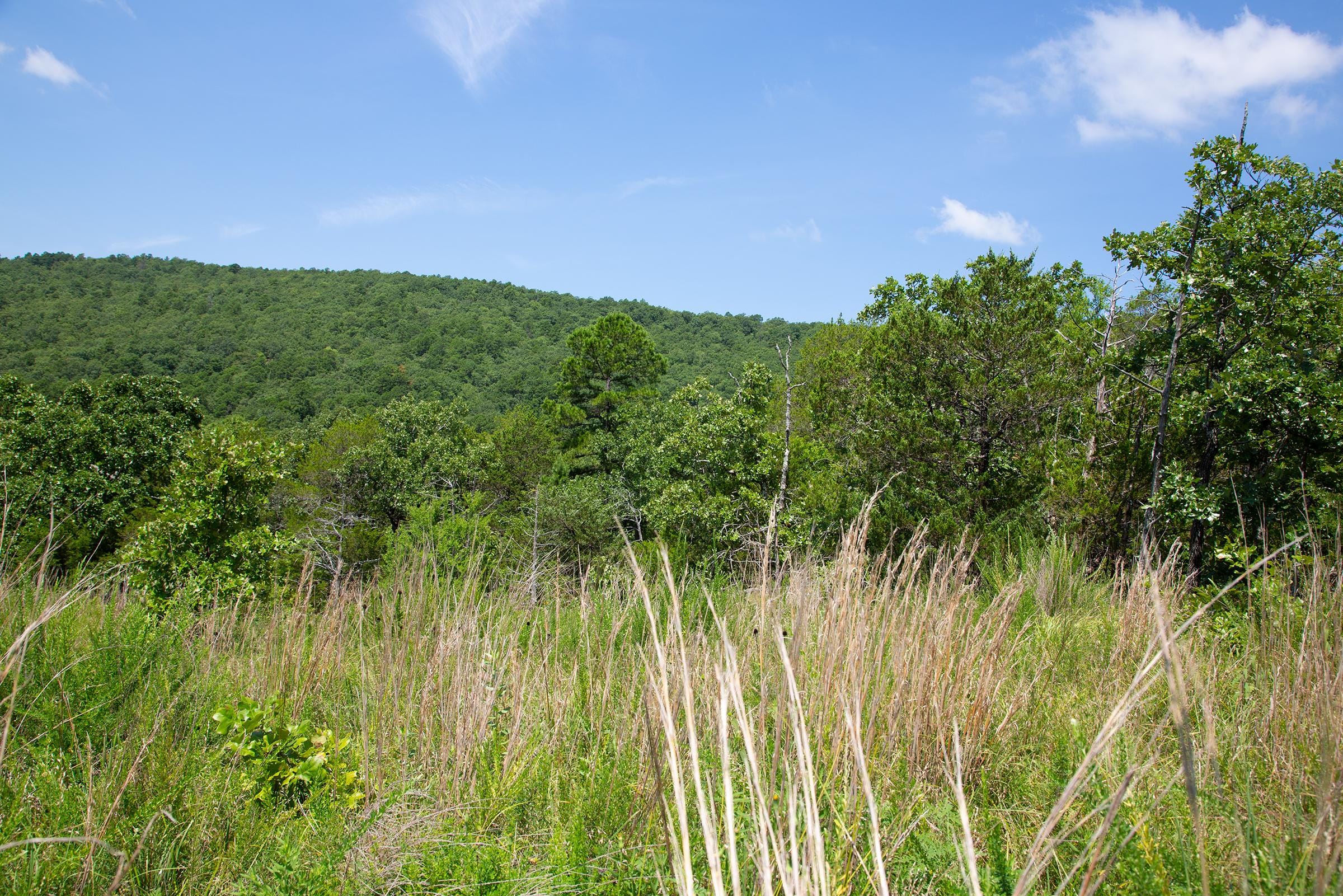 Tyler Stone Ranch Tract 80 photo 17
