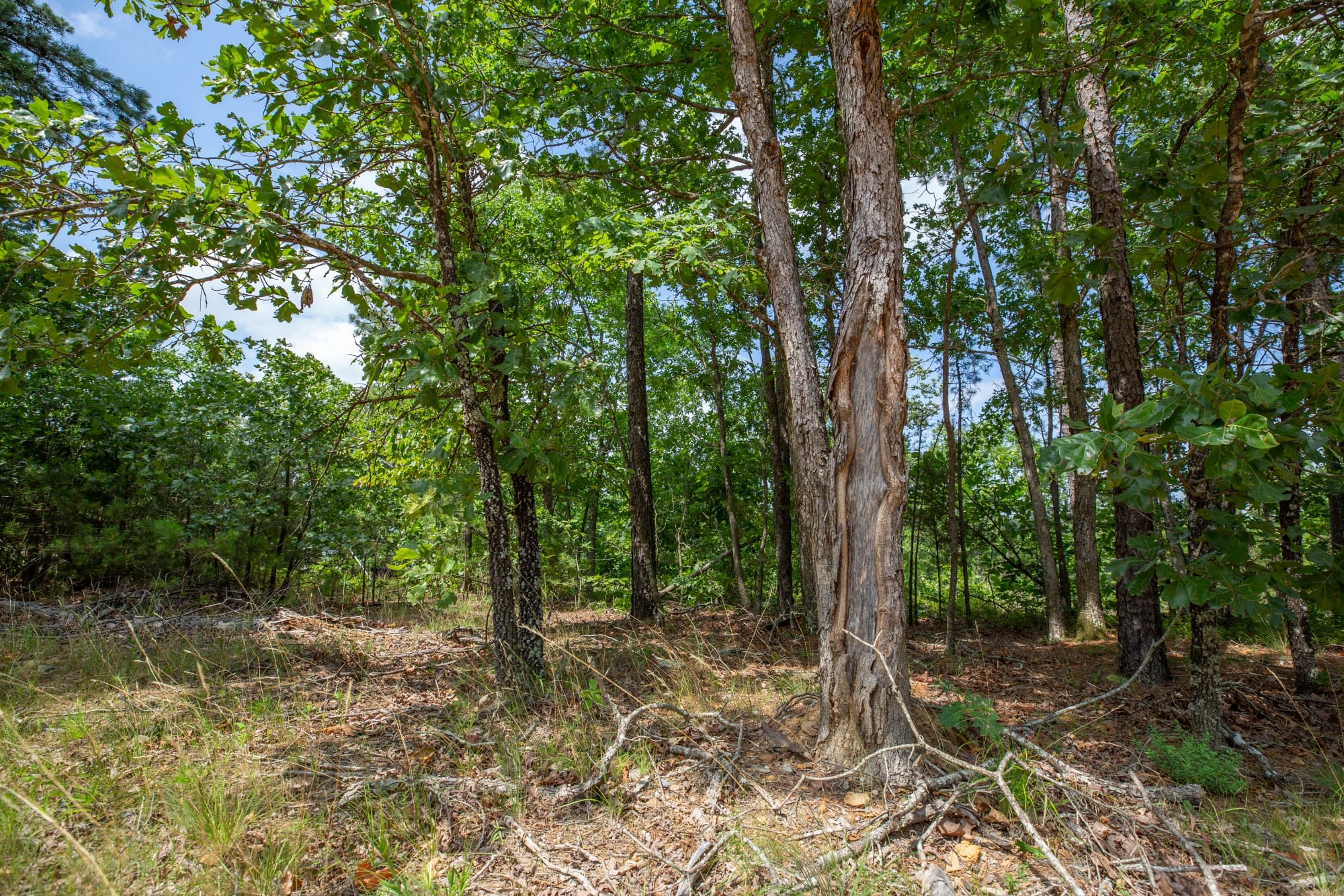 Eagle’s Nest Tract 30 photo 3