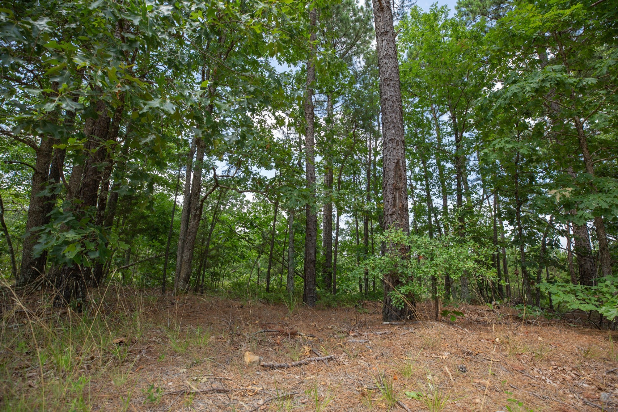 Eagle’s Nest Tract 30 photo 4