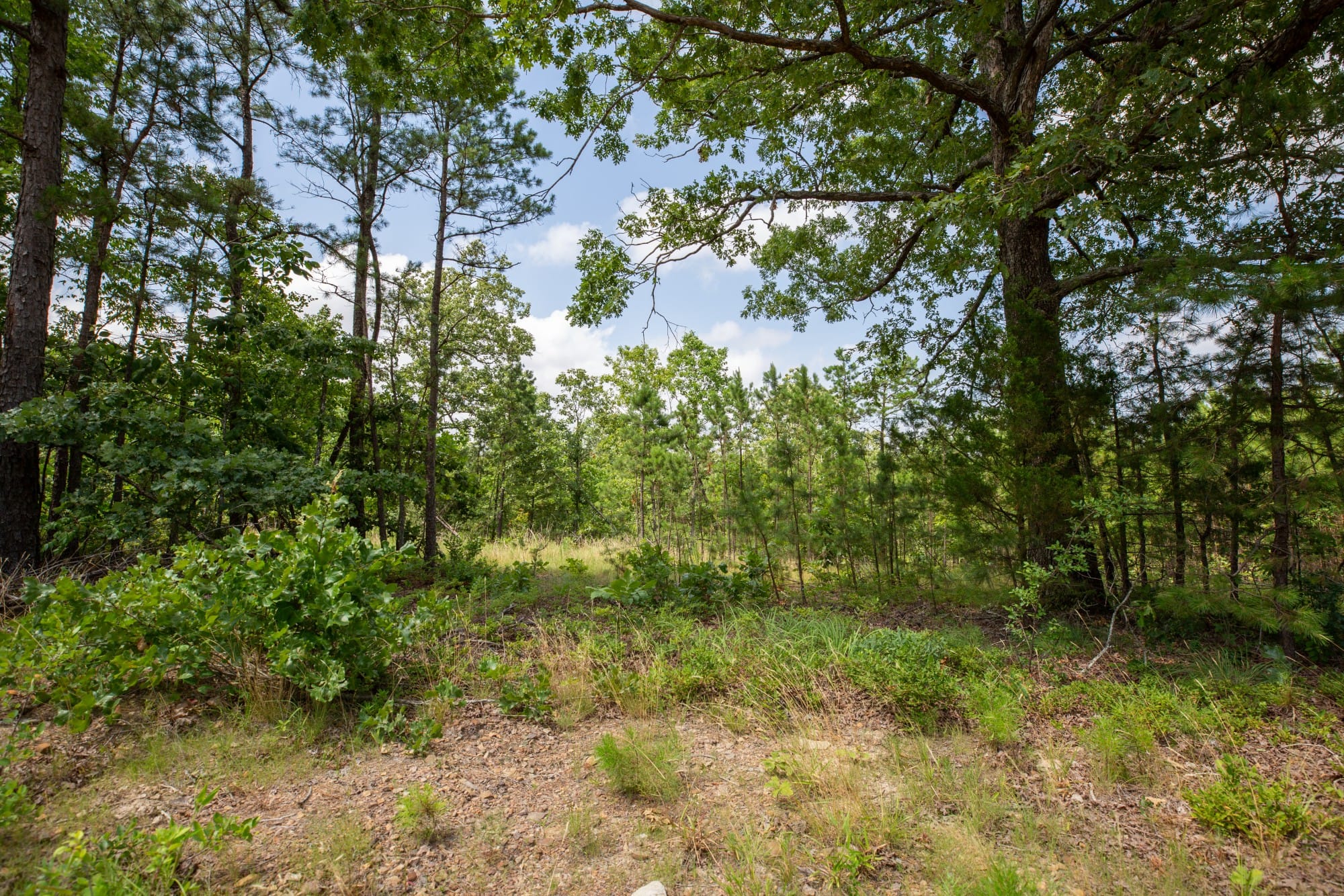 Eagle’s Nest Tract 30 photo 5